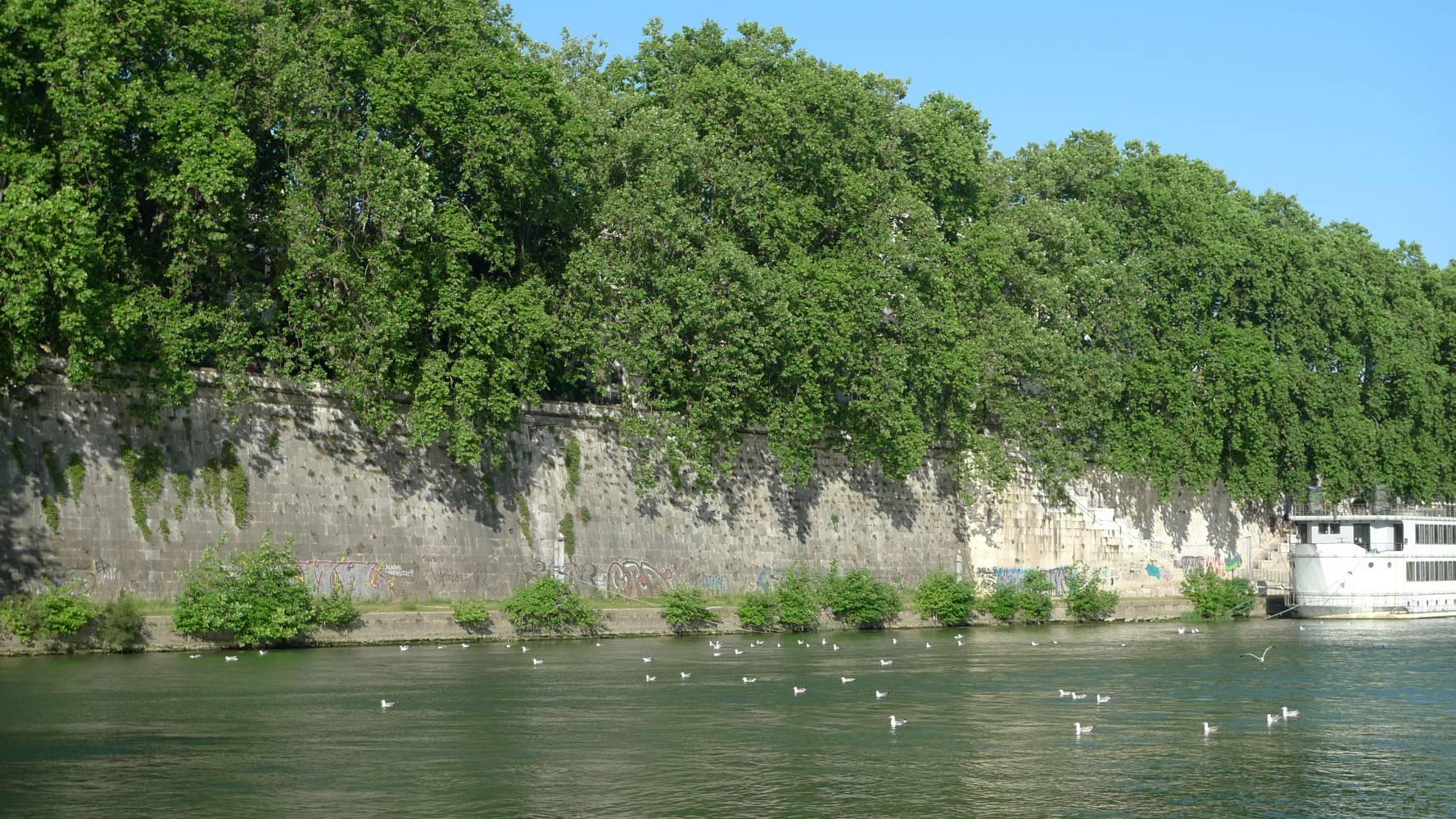 
ITINERARI DELL'ACQUA. PASSEGGIATA DAL GIANICOLO A PIAZZA TEVERE