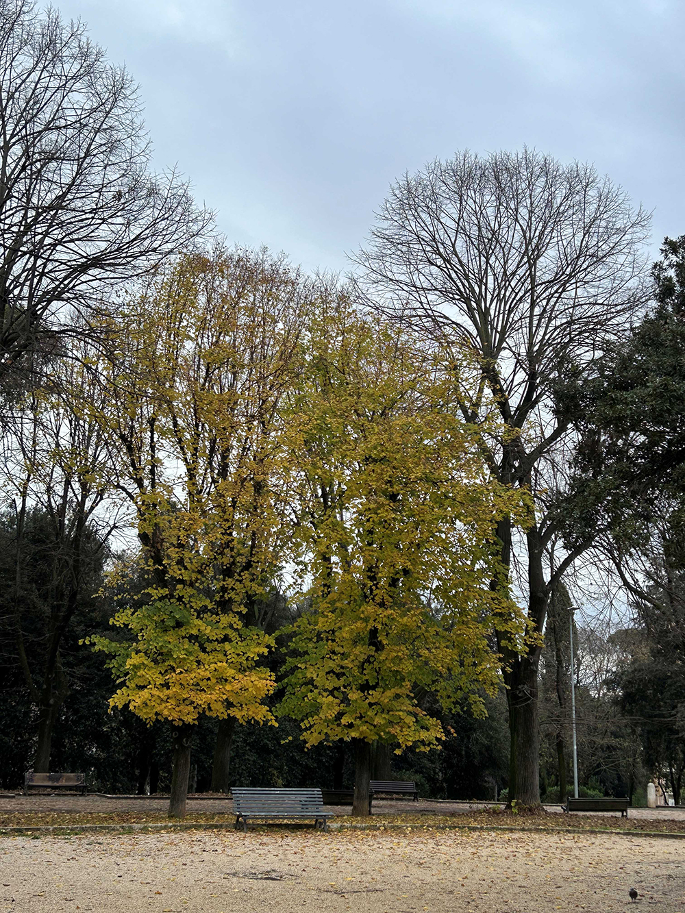 
L’eredità di Villa Lancellotti: linee, spazi e parchi