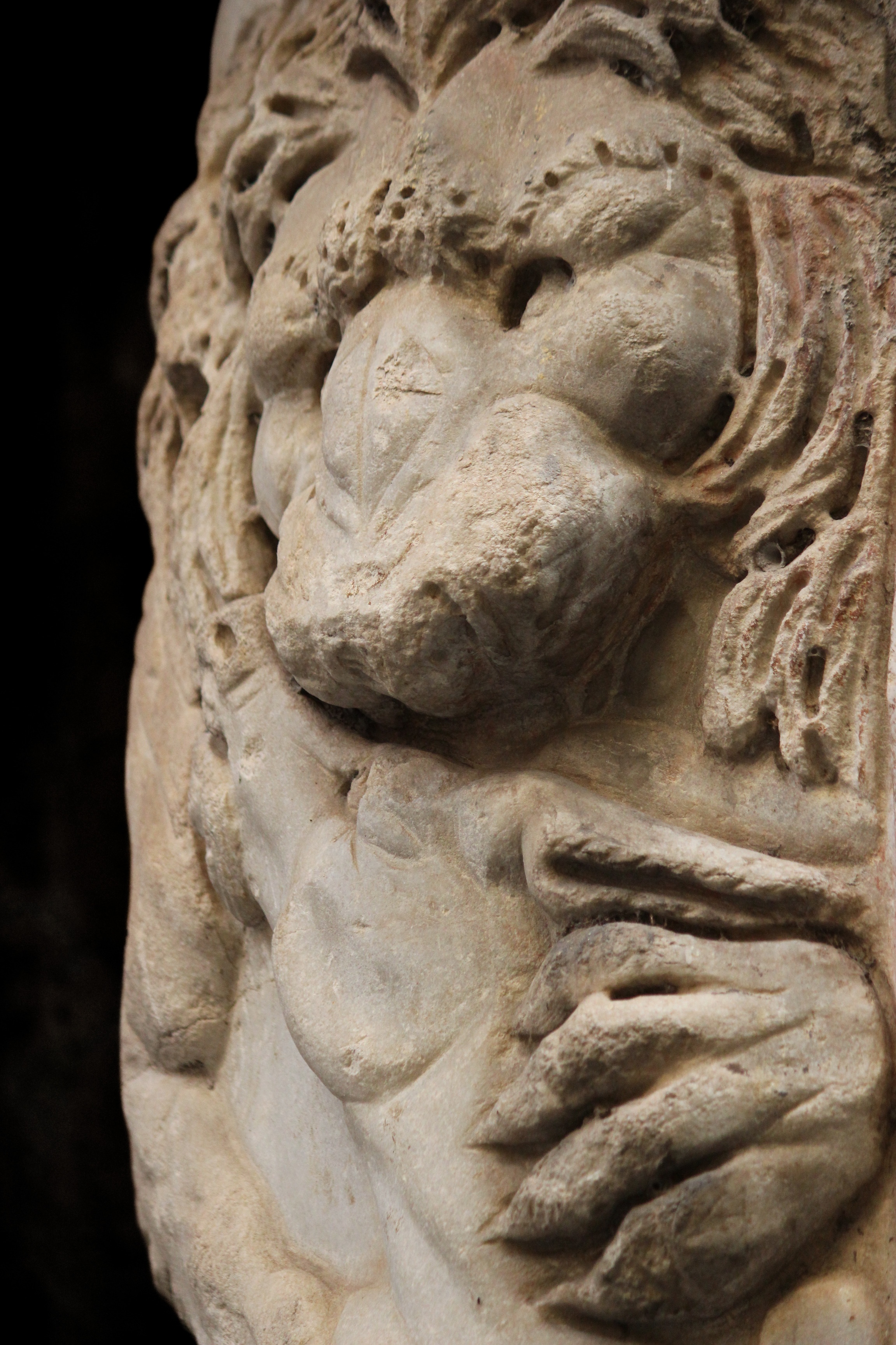 
Bestiario urbano. Un percorso fotografico nel cuore di Roma