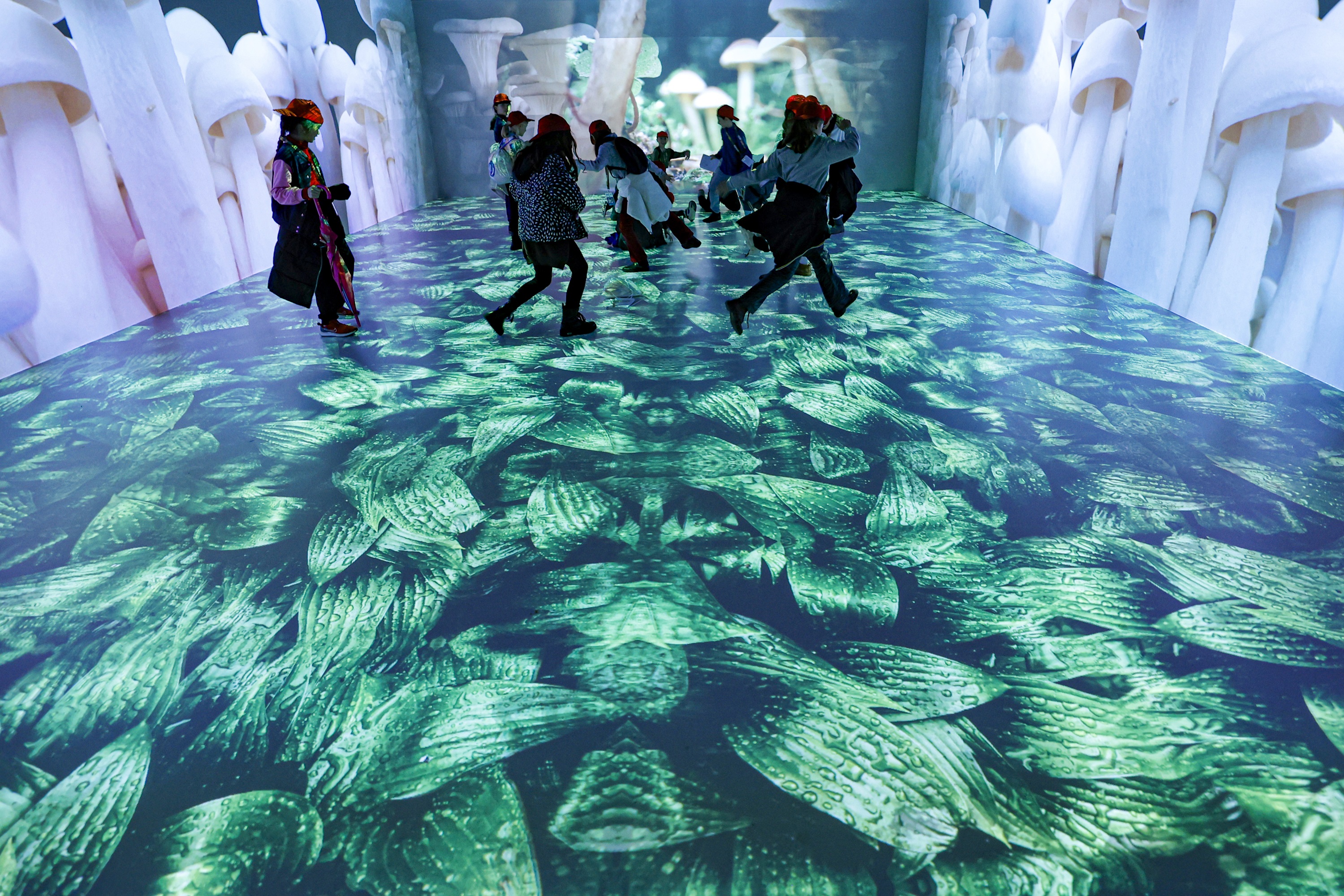 
Visita LIS - Organizzazione delle Nazioni Unite per l'Alimentazione e l'Agricoltura (FAO) 