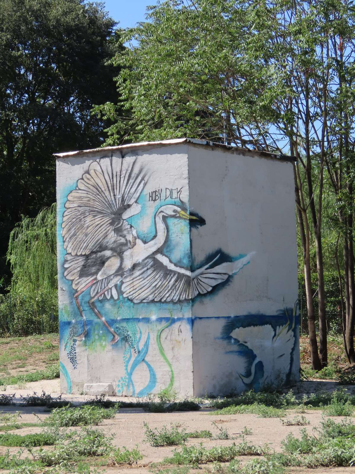 
Il Parco d’affaccio Prati dell’Acqua Acetosa: da discarica a bosco fluviale 