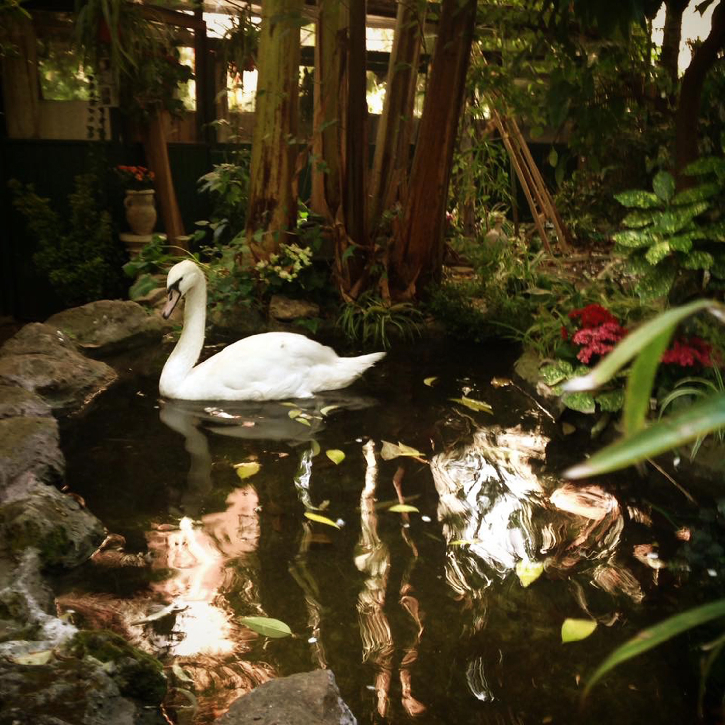 
CITTÀ ACCOGLIENTE. Fragile_Il Tempo dell’Obsolescenza - Studio Campo Boario