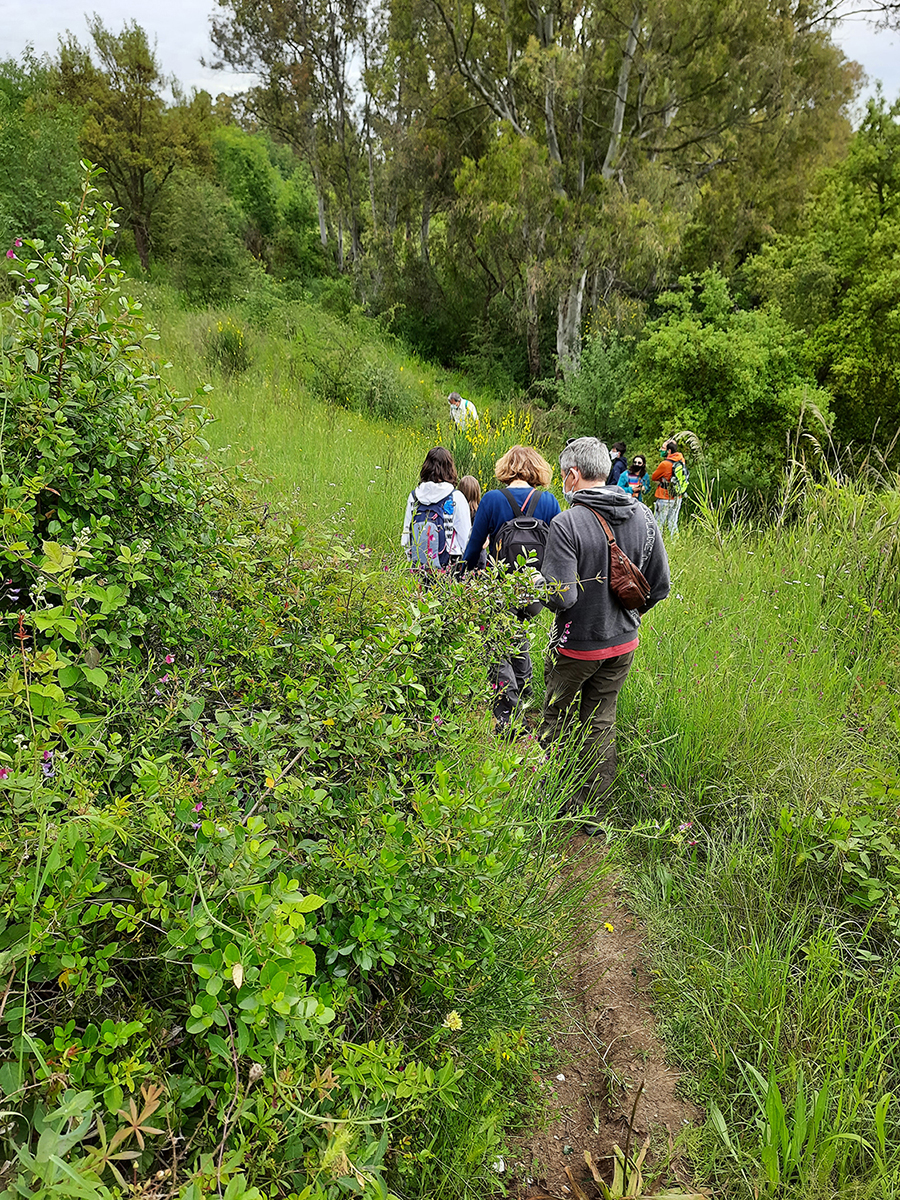 
Passeggiata storico-naturalistica al Parco dell’Insugherata