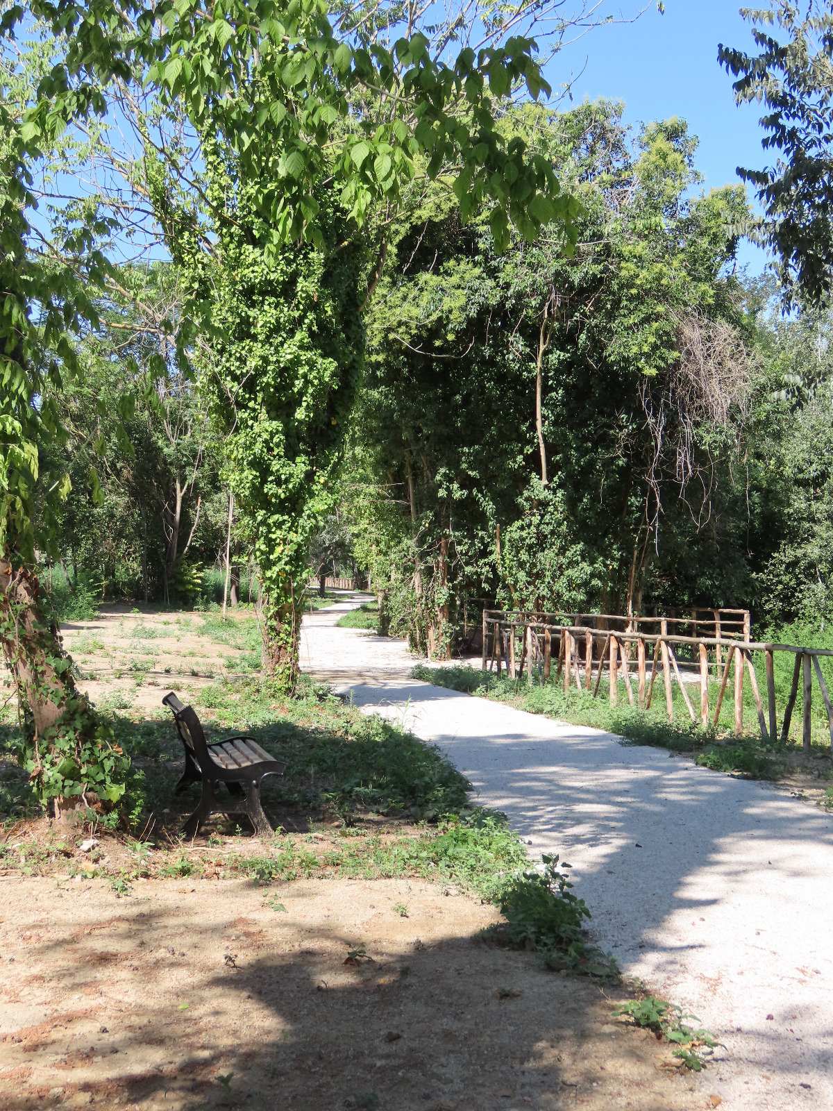 
Il Parco d’affaccio Prati dell’Acqua Acetosa: da discarica a bosco fluviale 