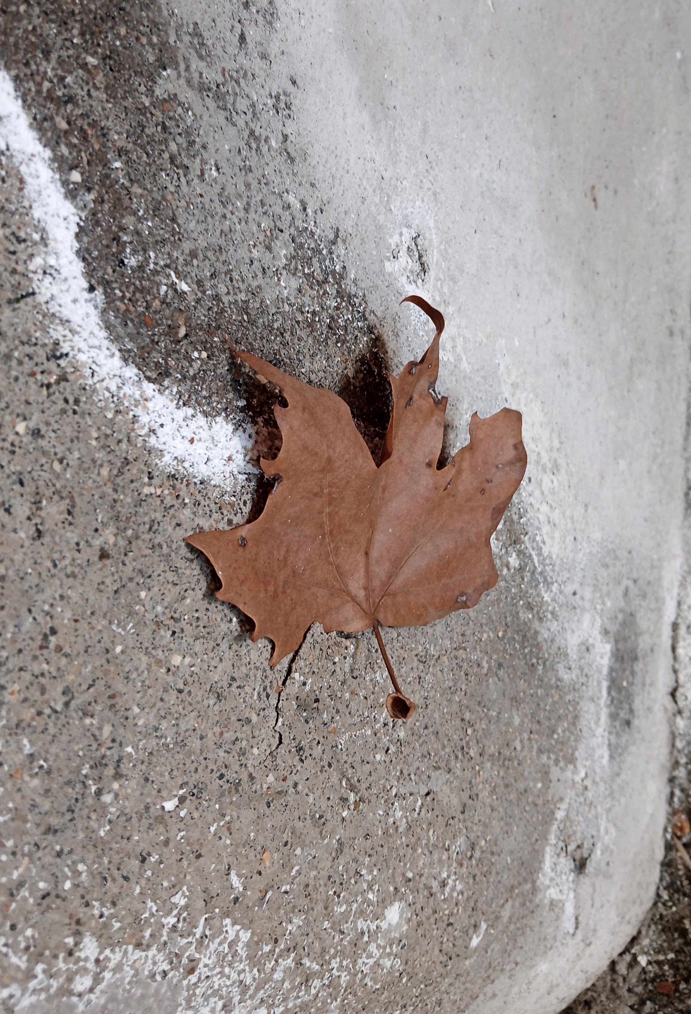 
CITTÀ ACCOGLIENTE. Fragile_Il Tempo dell’Obsolescenza - Padiglione Nervi 