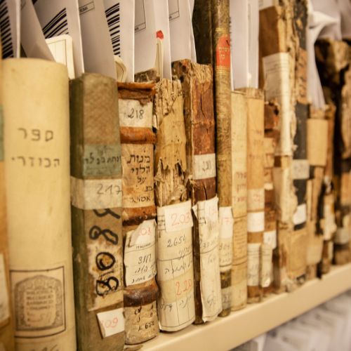 
La Biblioteca Tullia Zevi: Un progetto culturale al femminile 