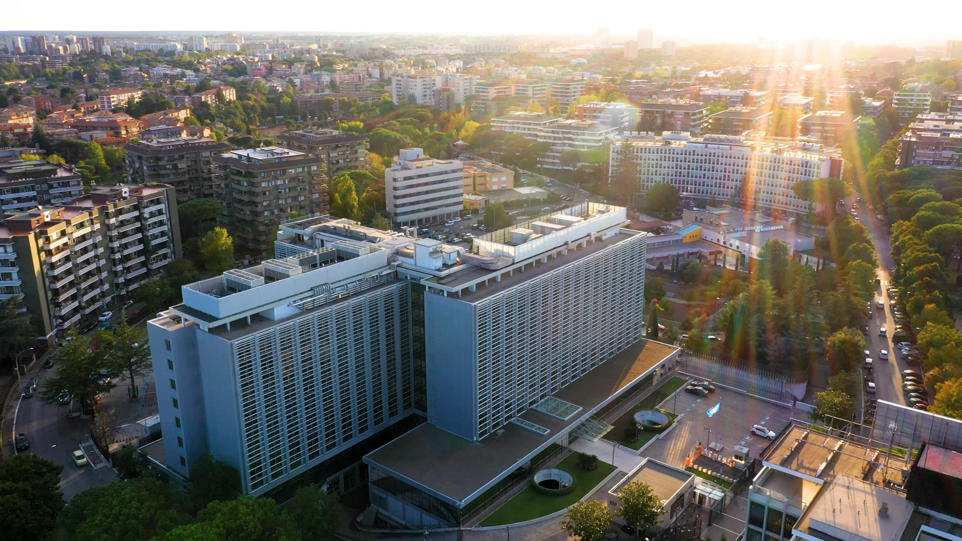 
IFAD International Fund for Agricultural Development