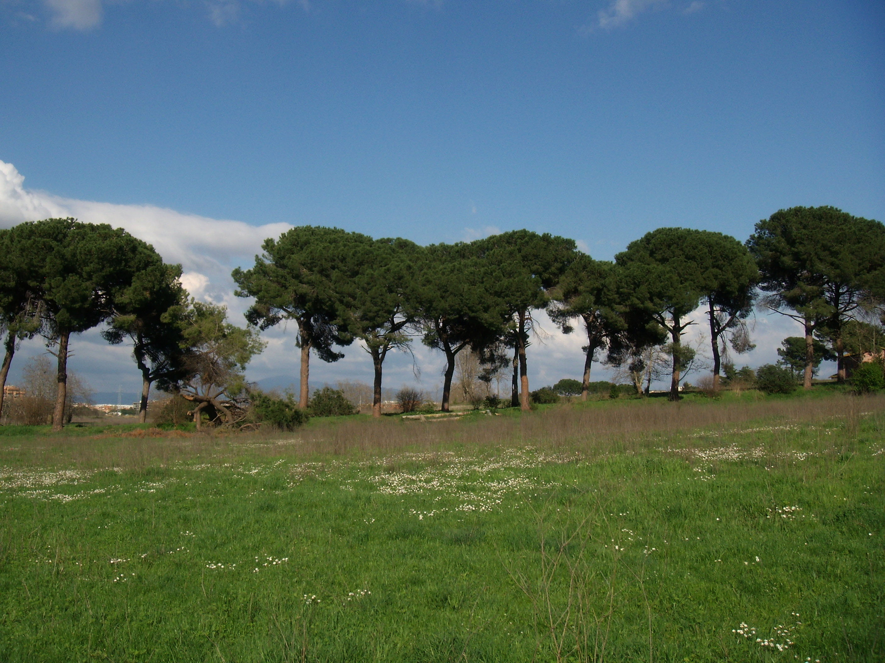 
A Rebibbia-Casal de' Pazzi tra Preistoria e Presente, tra Natura e Città