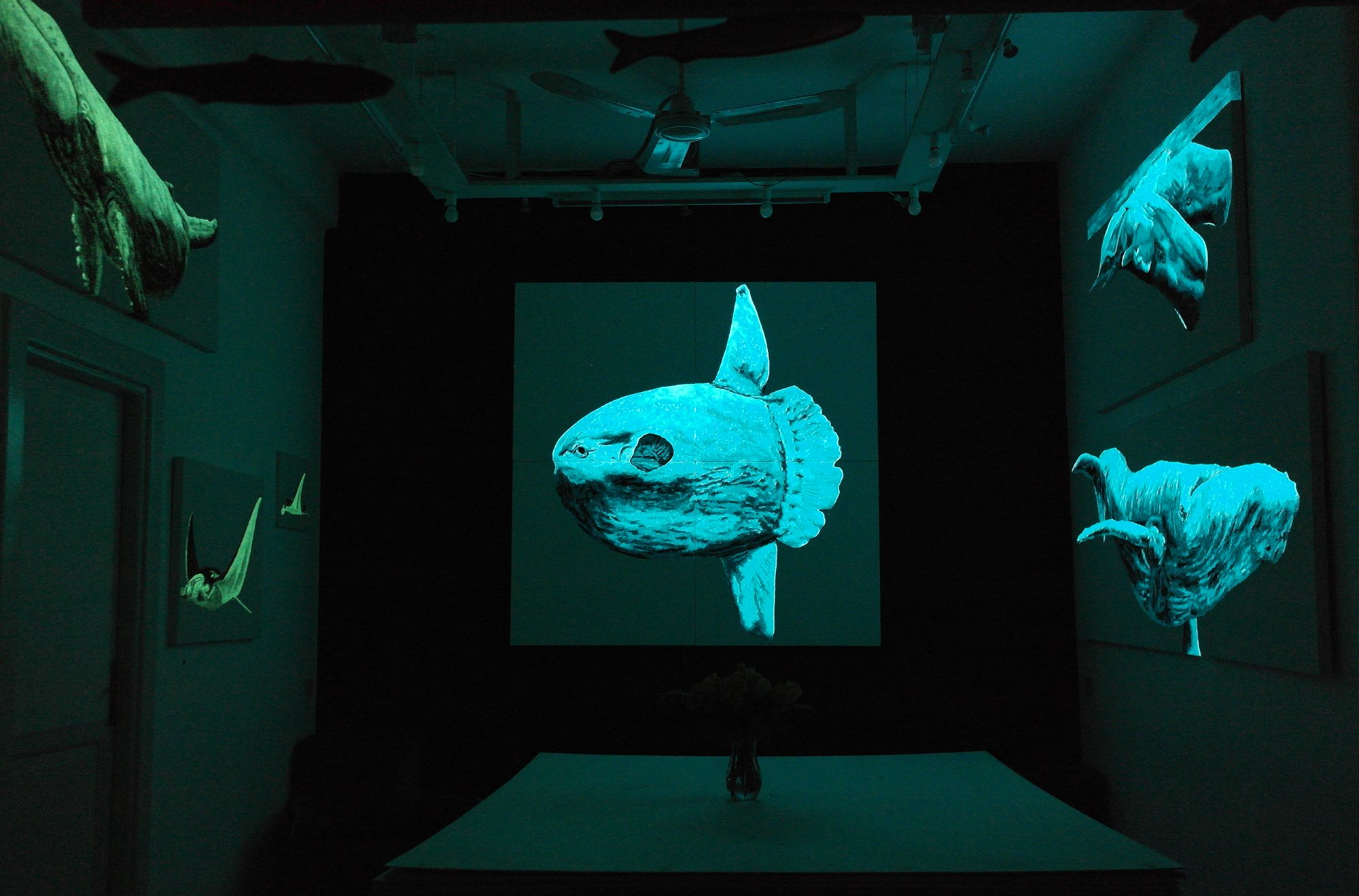 
STUDIO CATALANI NEI PALAZZI FEDERICI