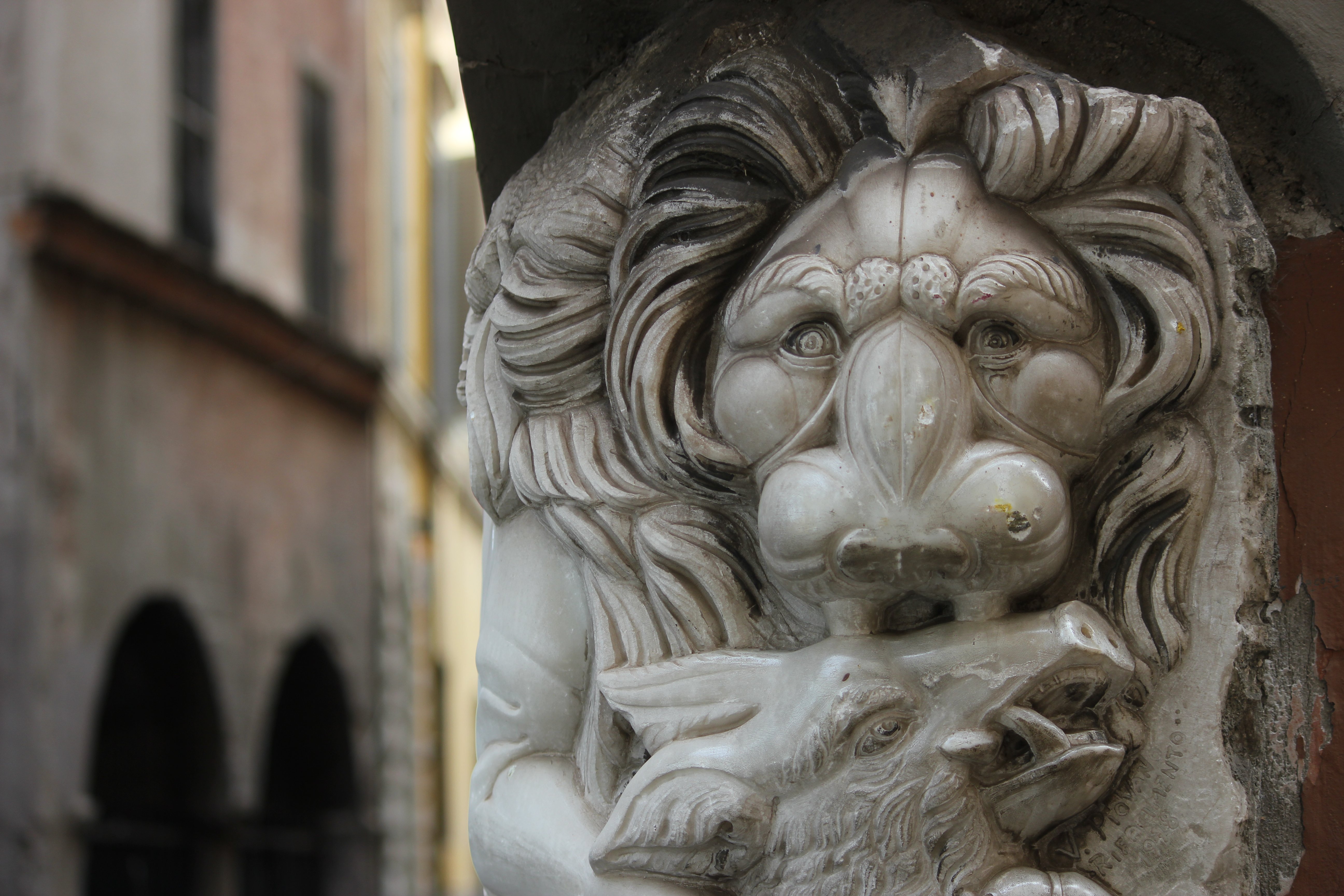 
Bestiario urbano. Un percorso fotografico nel cuore di Roma