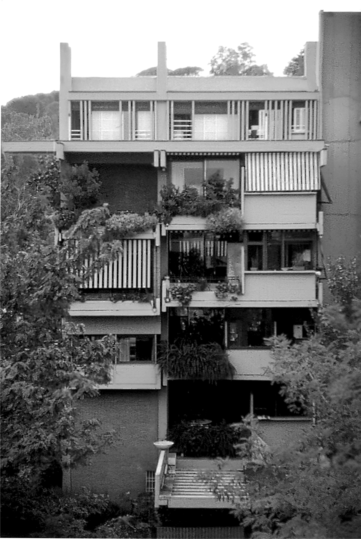 
VILLINO COLLI DELLA FARNESINA - STUDIO CARLO BERARDUCCI ARCHITECTURE