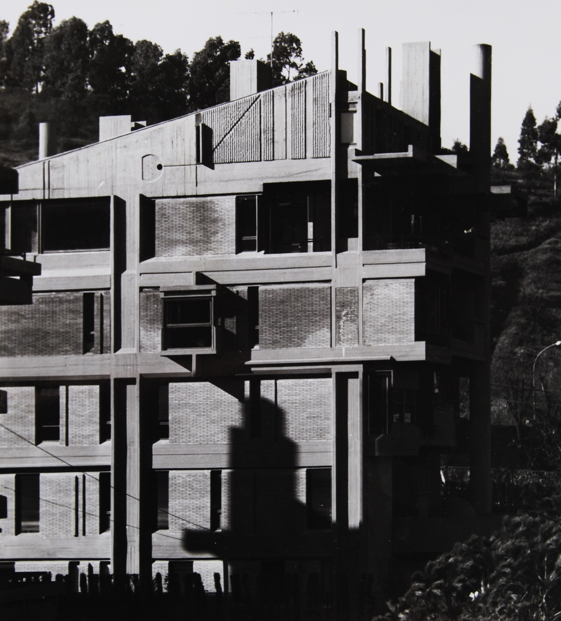 
VILLINO COLLI DELLA FARNESINA - STUDIO CARLO BERARDUCCI ARCHITECTURE