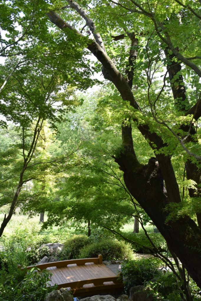 
ORTO BOTANICO DI ROMA