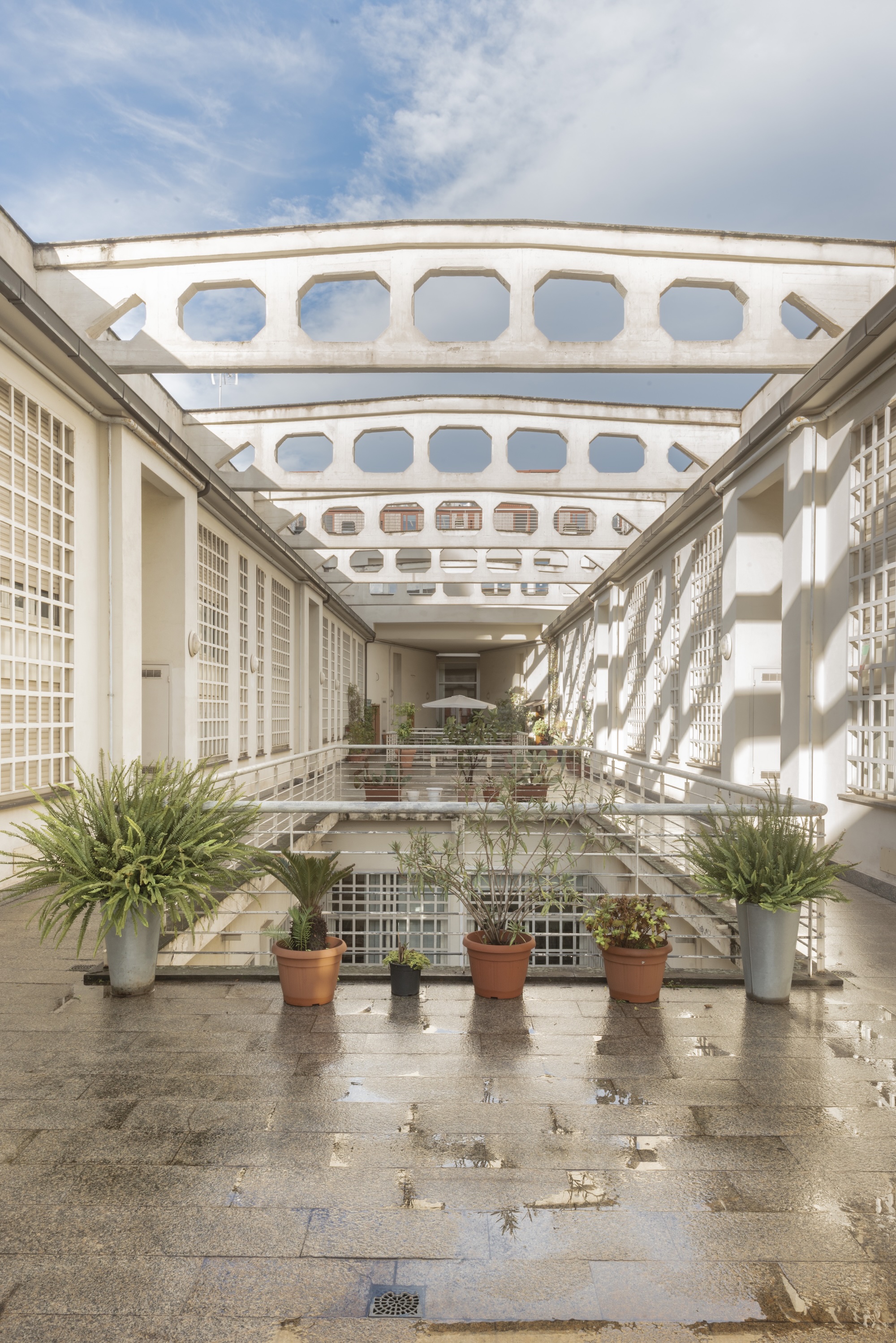 
Brutal Bites - Casa/studio