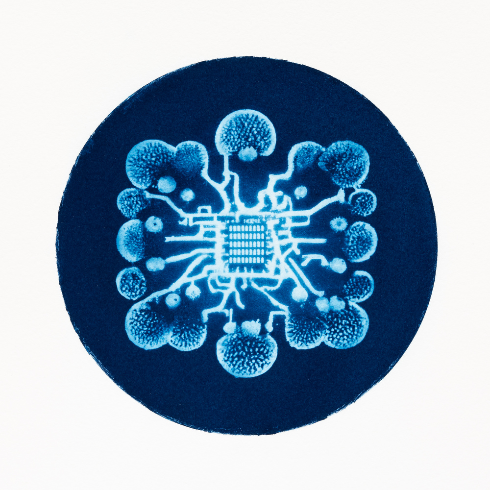 
Immagini (ir)reali - Dibattito sulla fotografia sperimentale