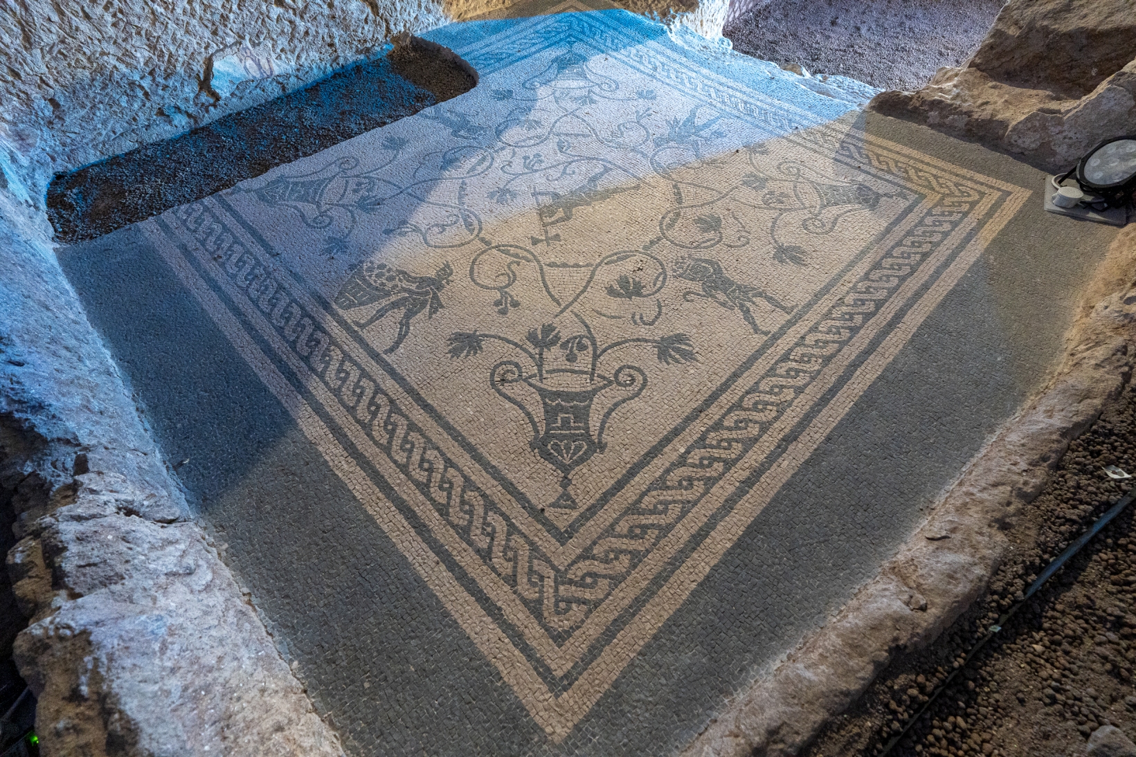 
VISITA MULTISENSORIALE AL DRUGSTORE MUSEUM