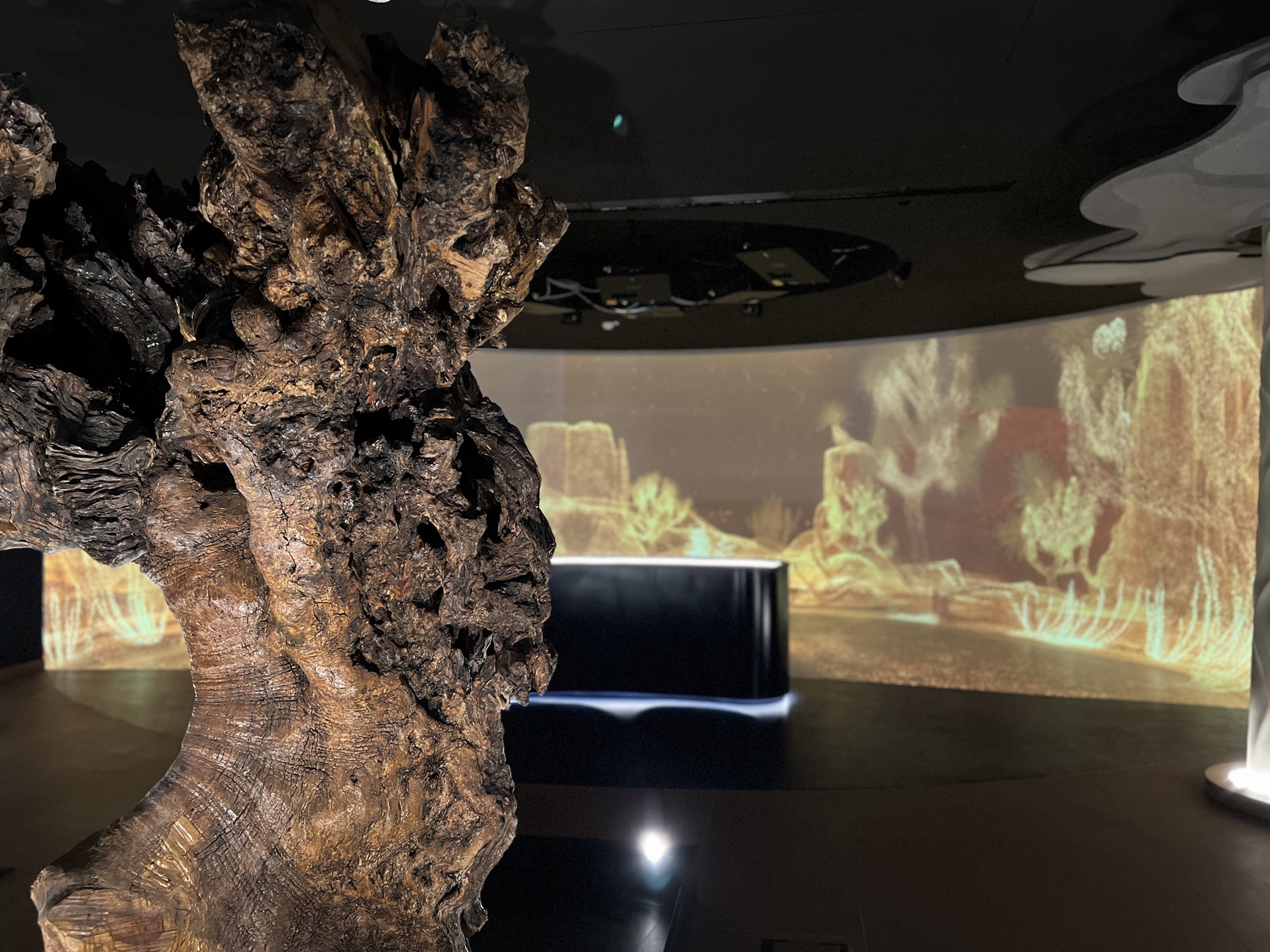 
Organizzazione delle Nazioni Unite per l'Alimentazione e l'Agricoltura (FAO) 