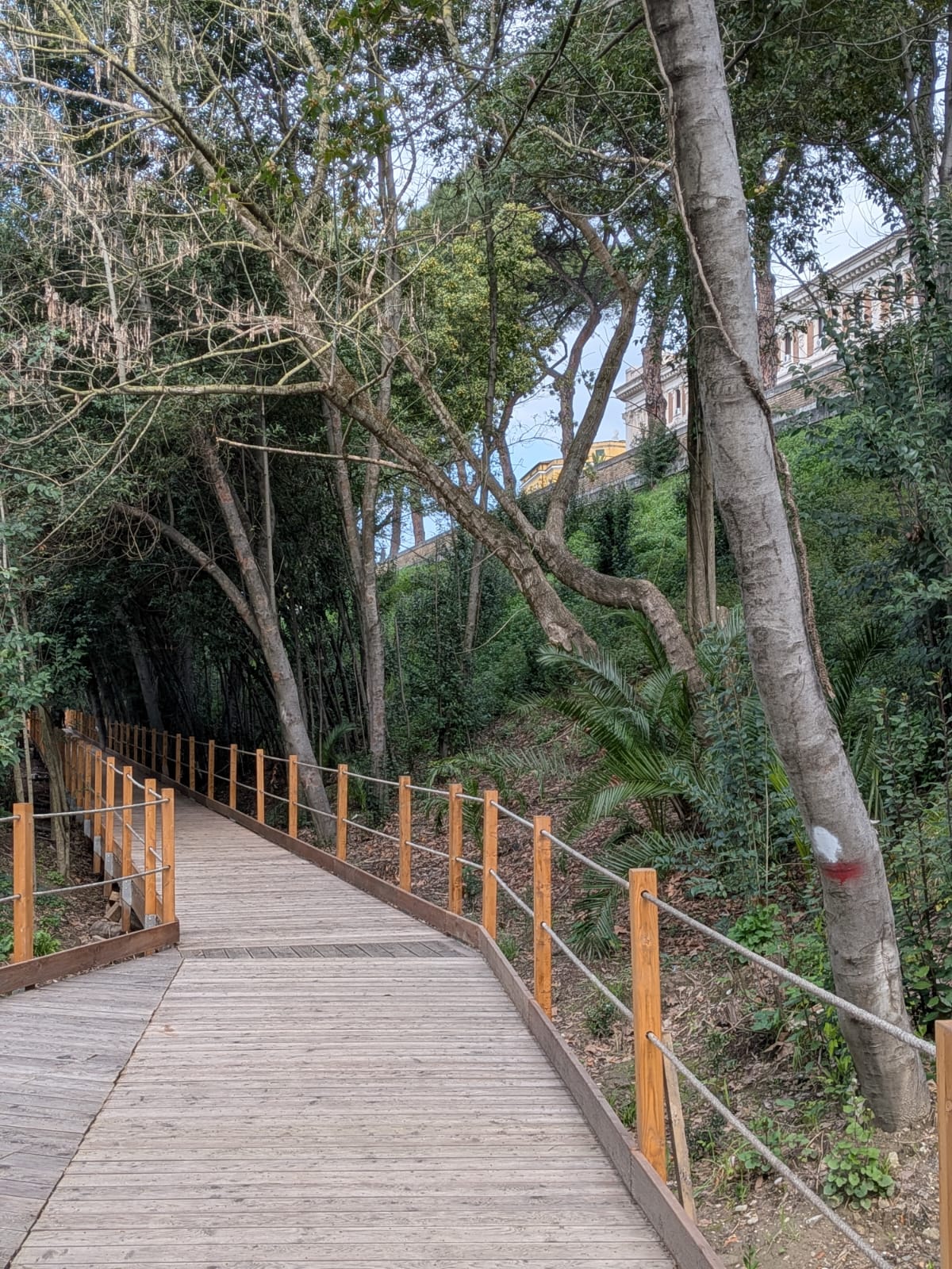 
Da Piazza Pia al parco d'affaccio di Lungotevere delle Navi 