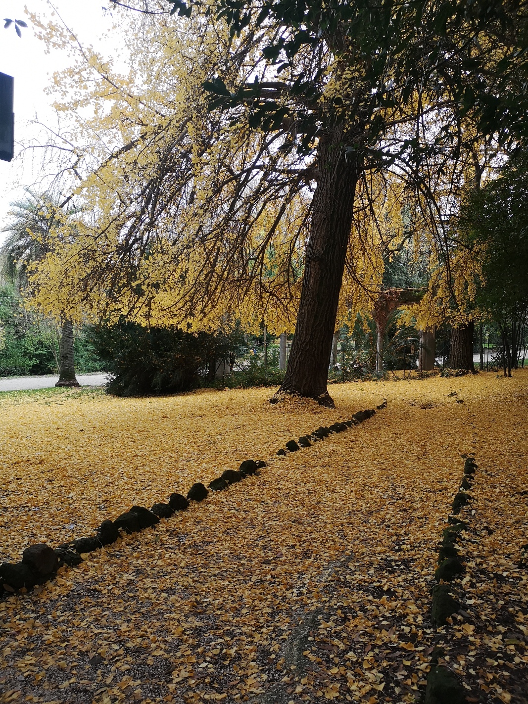 
VISITA MULTISENSORIALE A VILLA SCIARRA