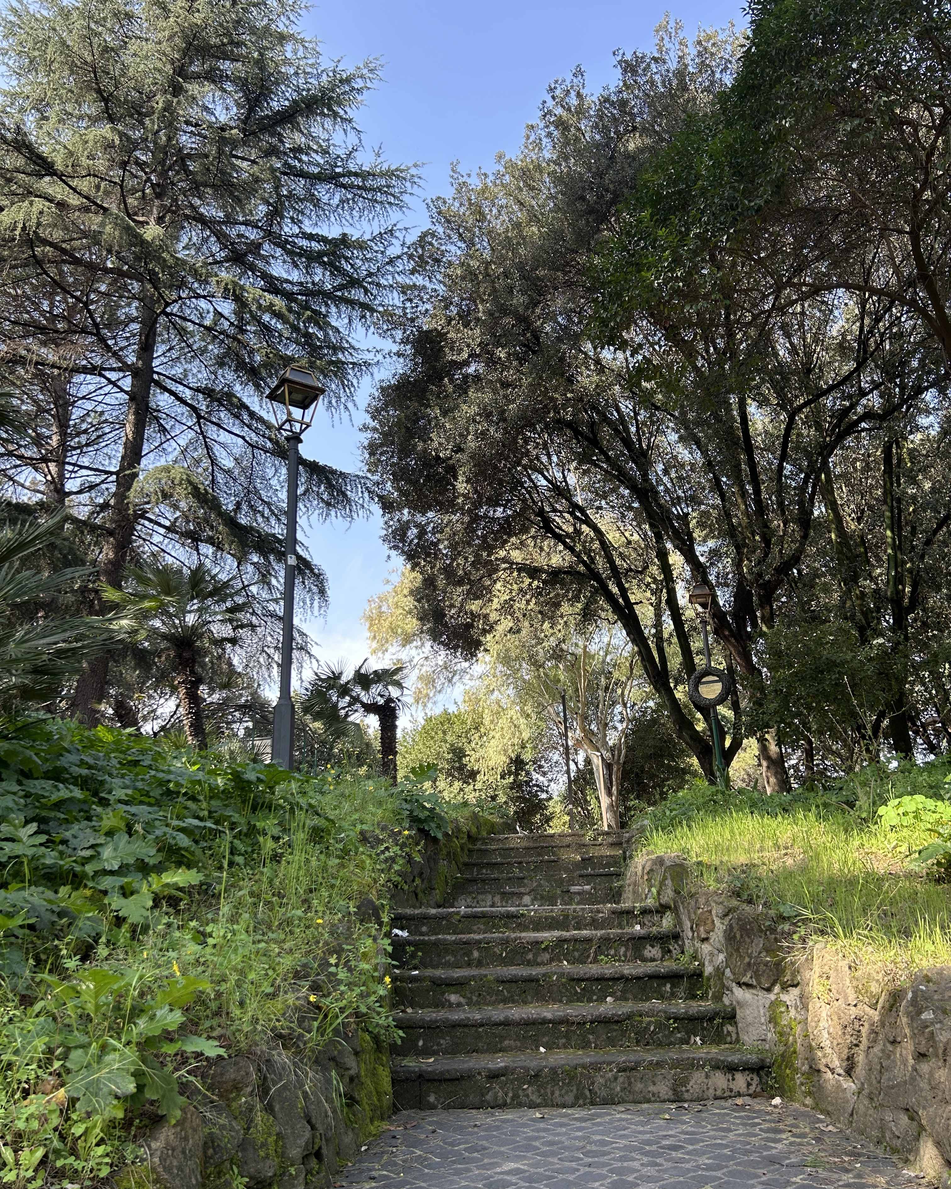 
Oasi verdi da scoprire nella trasformazione di San Lorenzo 