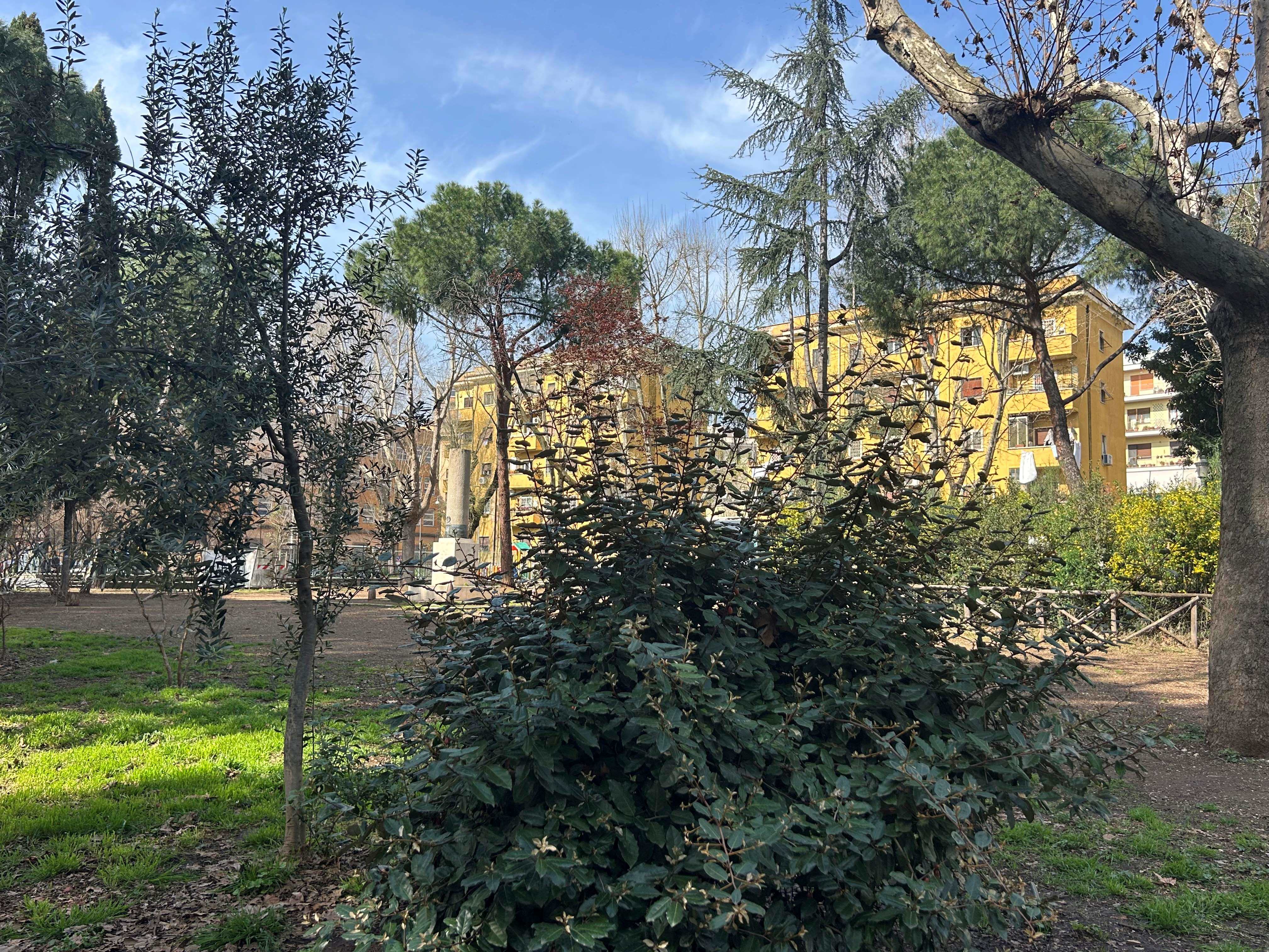 
Oasi verdi da scoprire nella trasformazione di San Lorenzo 