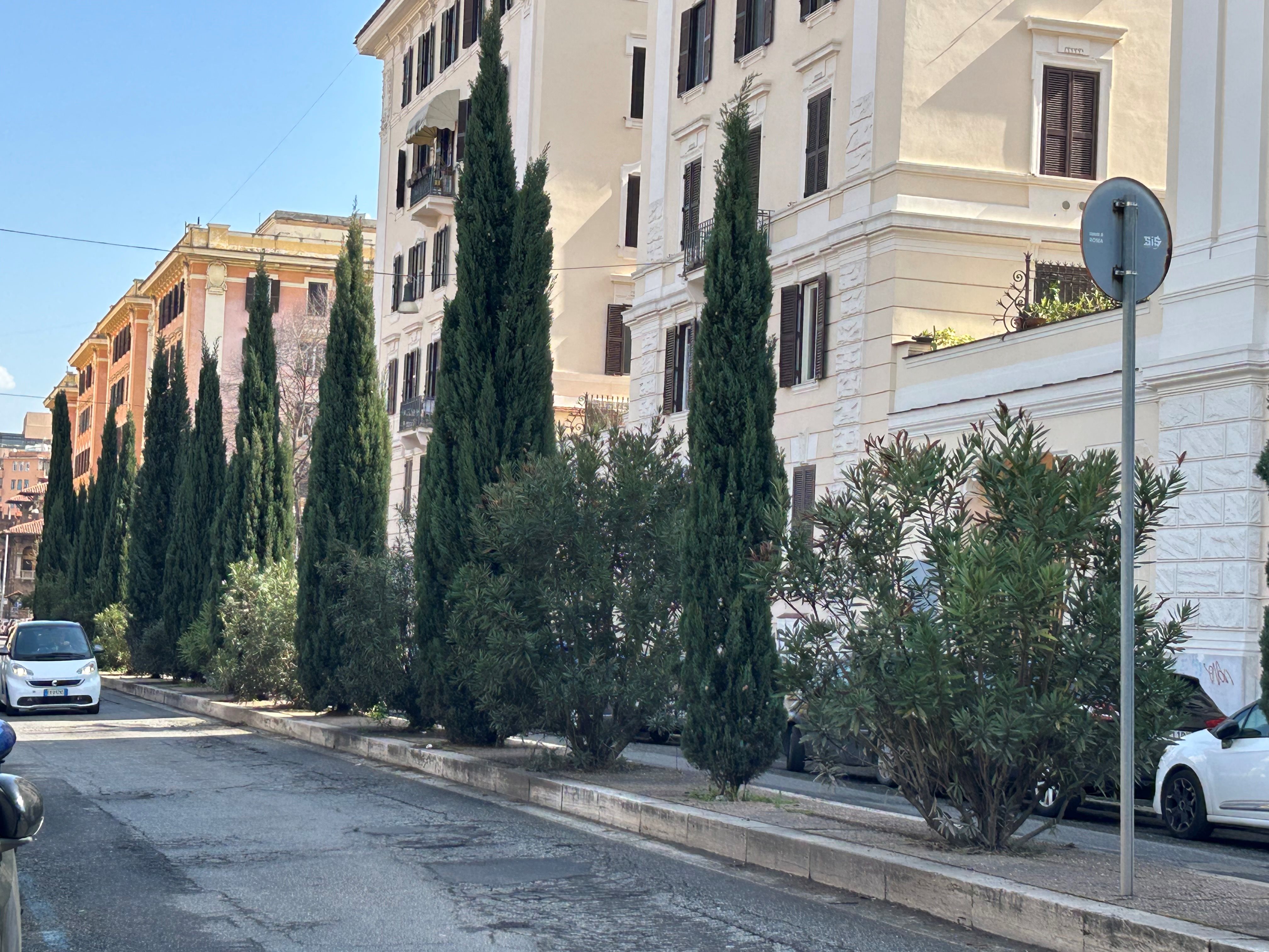 
Oasi verdi da scoprire nella trasformazione di San Lorenzo 