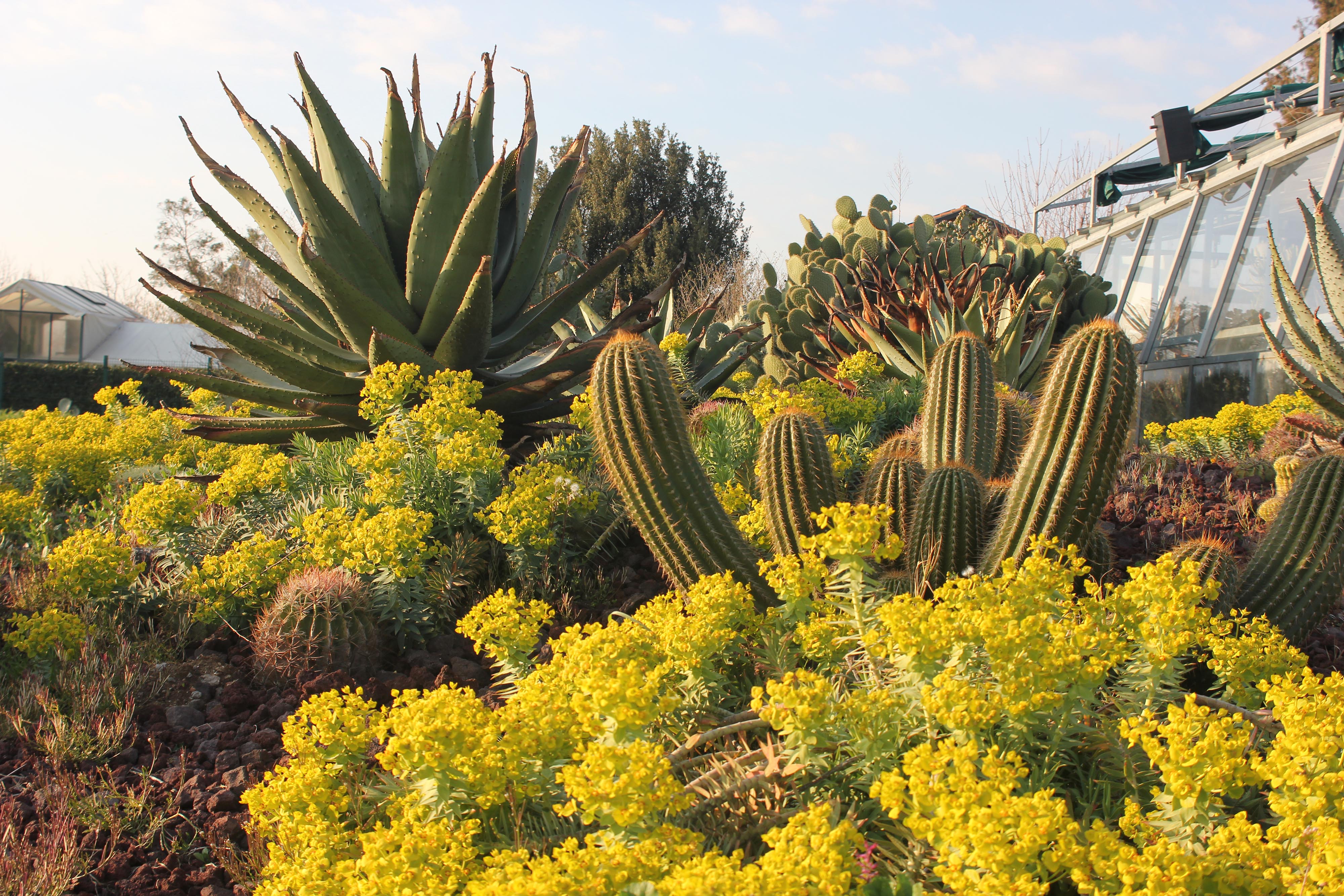 
ORTO BOTANICO UNIVERSITÀ DI ROMA TOR VERGATA