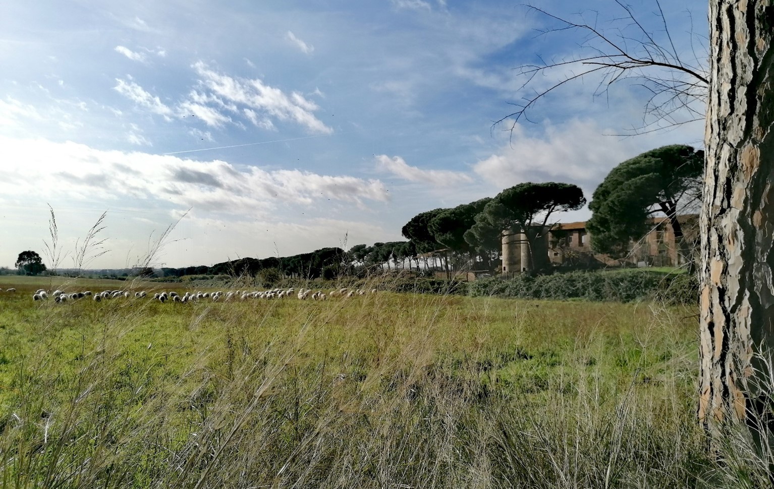 
La sorpresa del Parco Agricolo di Casal del Marmo - Paolo Ramundo