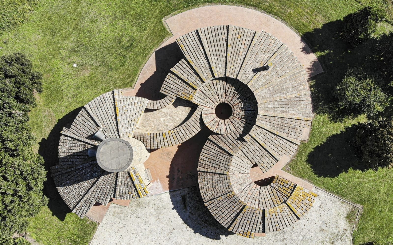 L'AMMONITE