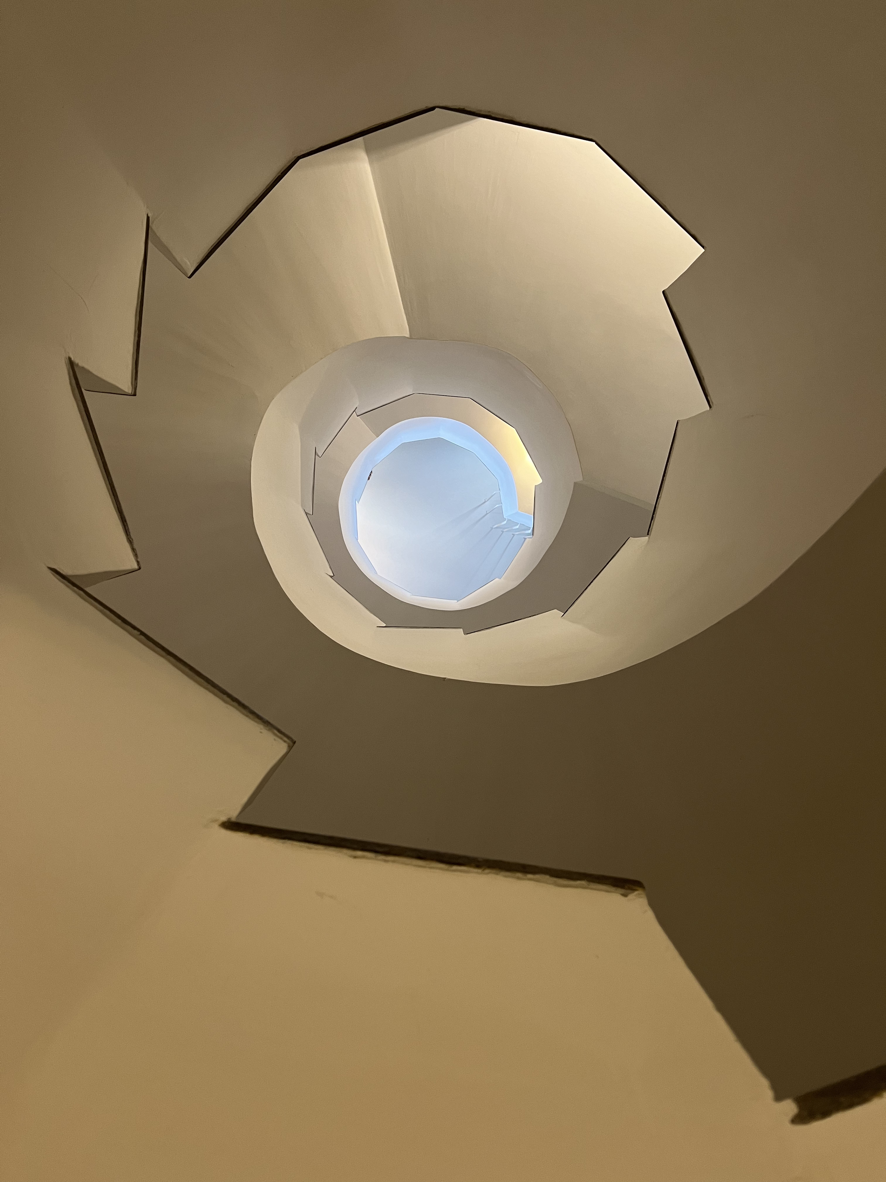 L'AMMONITE