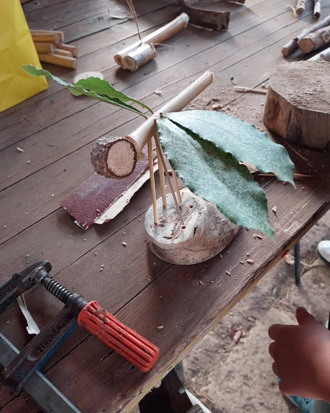 
LEGNO DEGLI ALBERI DI ROMA: LABORATORIO DI MANIPOLAZIONE CREATIVA