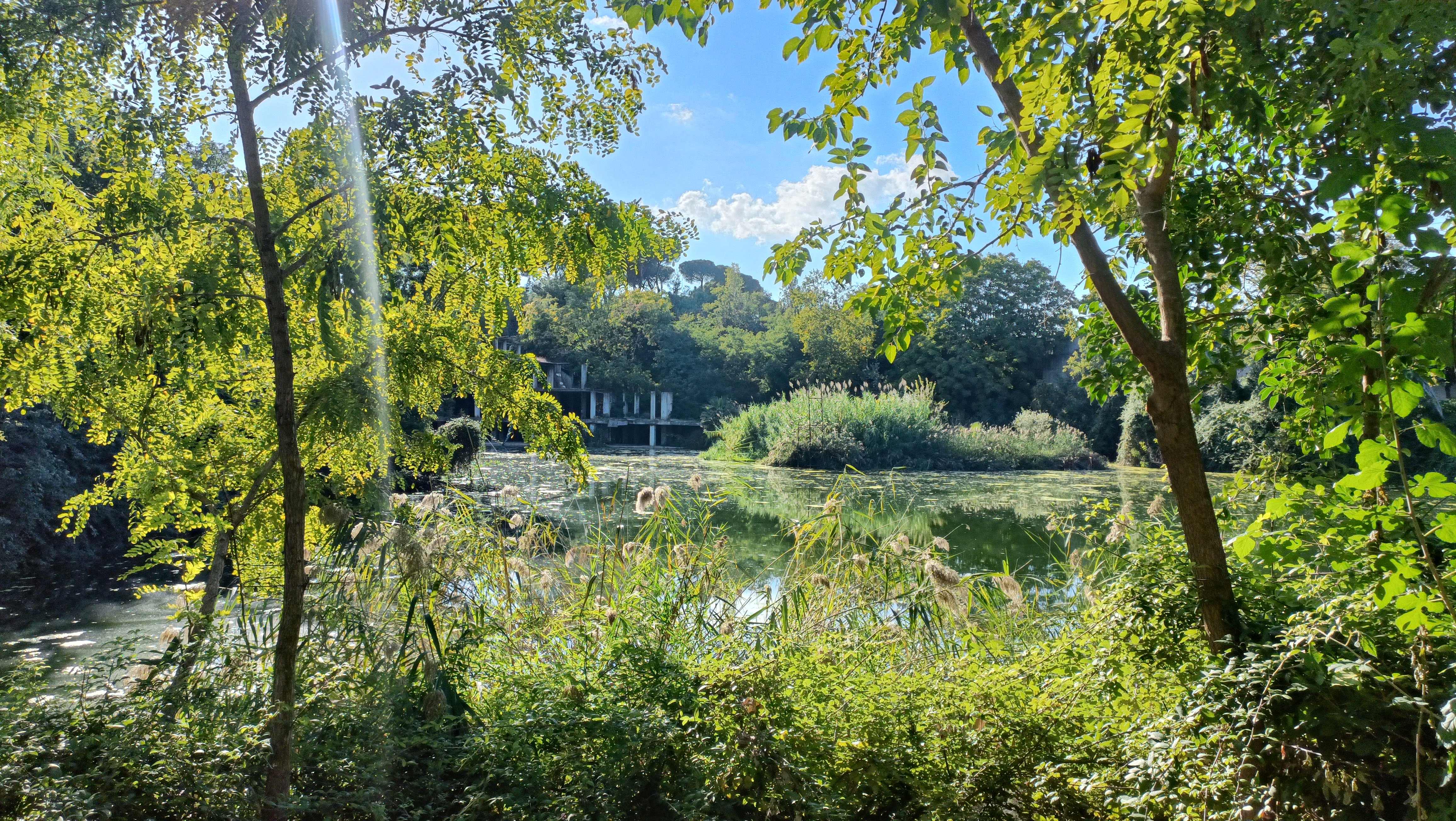 
Il Bosco per il Lago Bullicante-Ex SNIA: biodiversità e progetto di un parco che cura