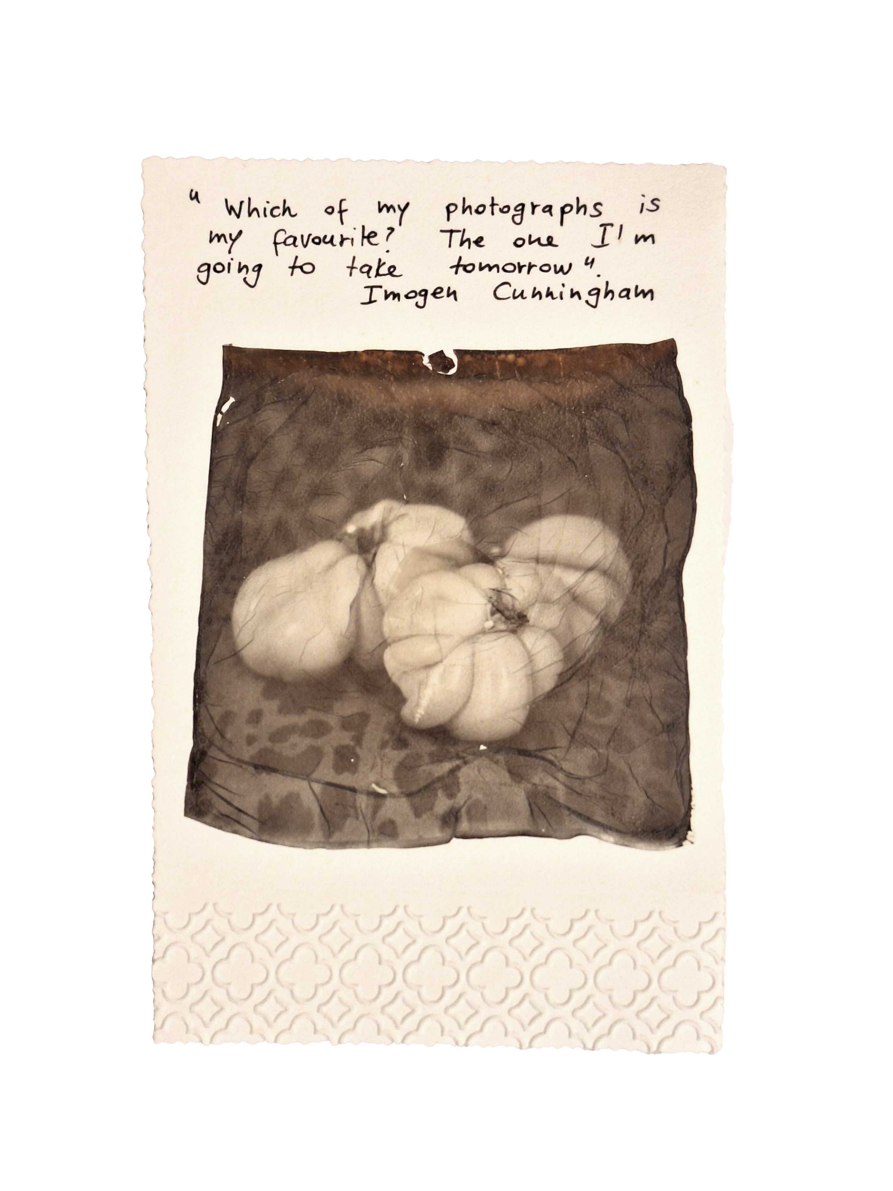 
Immagini (ir)reali - Mostra internazionale di fotografia sperimentale