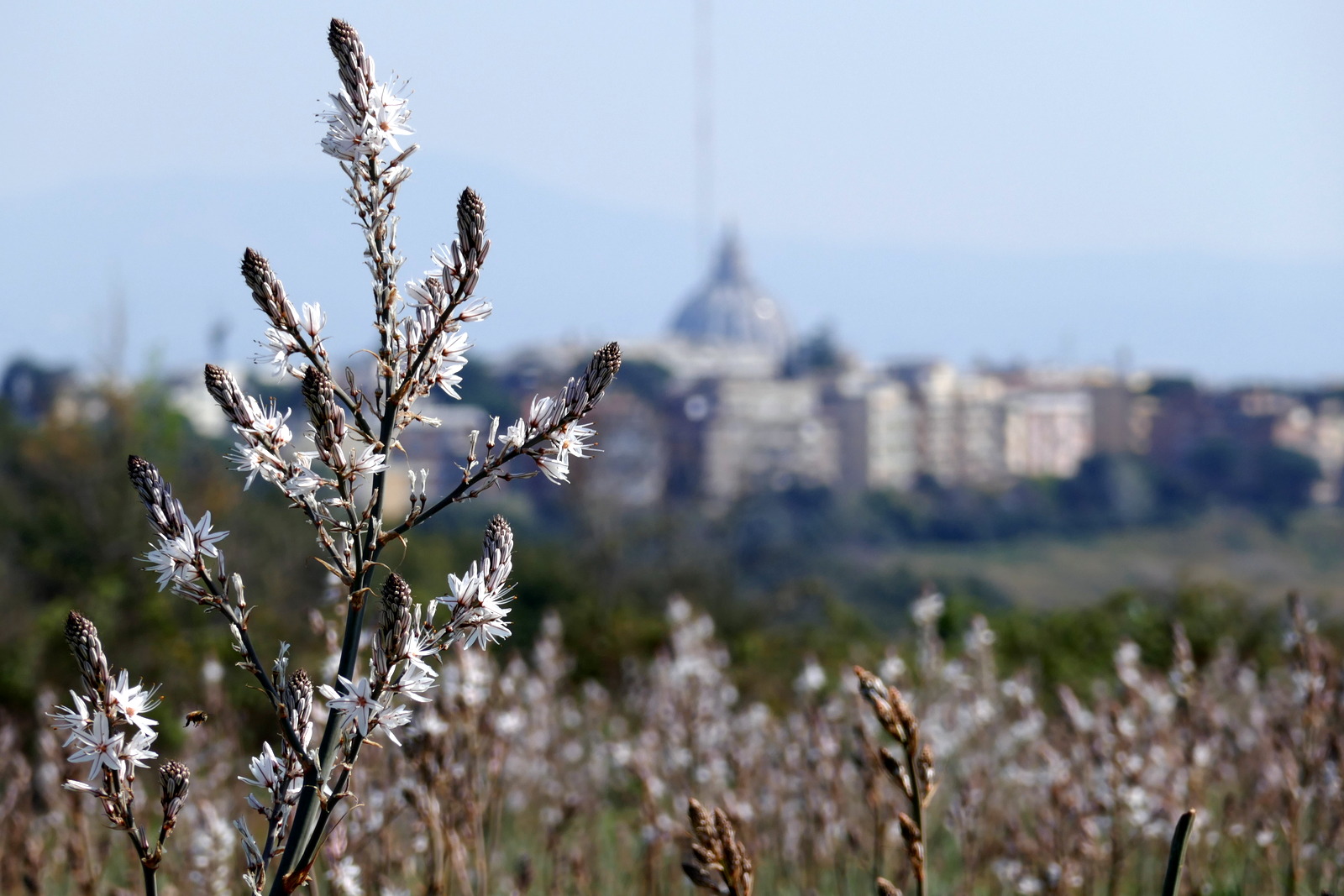 
Ciclotour lungo il percorso ciclopedonale S. Filippo Neri - San Pietro