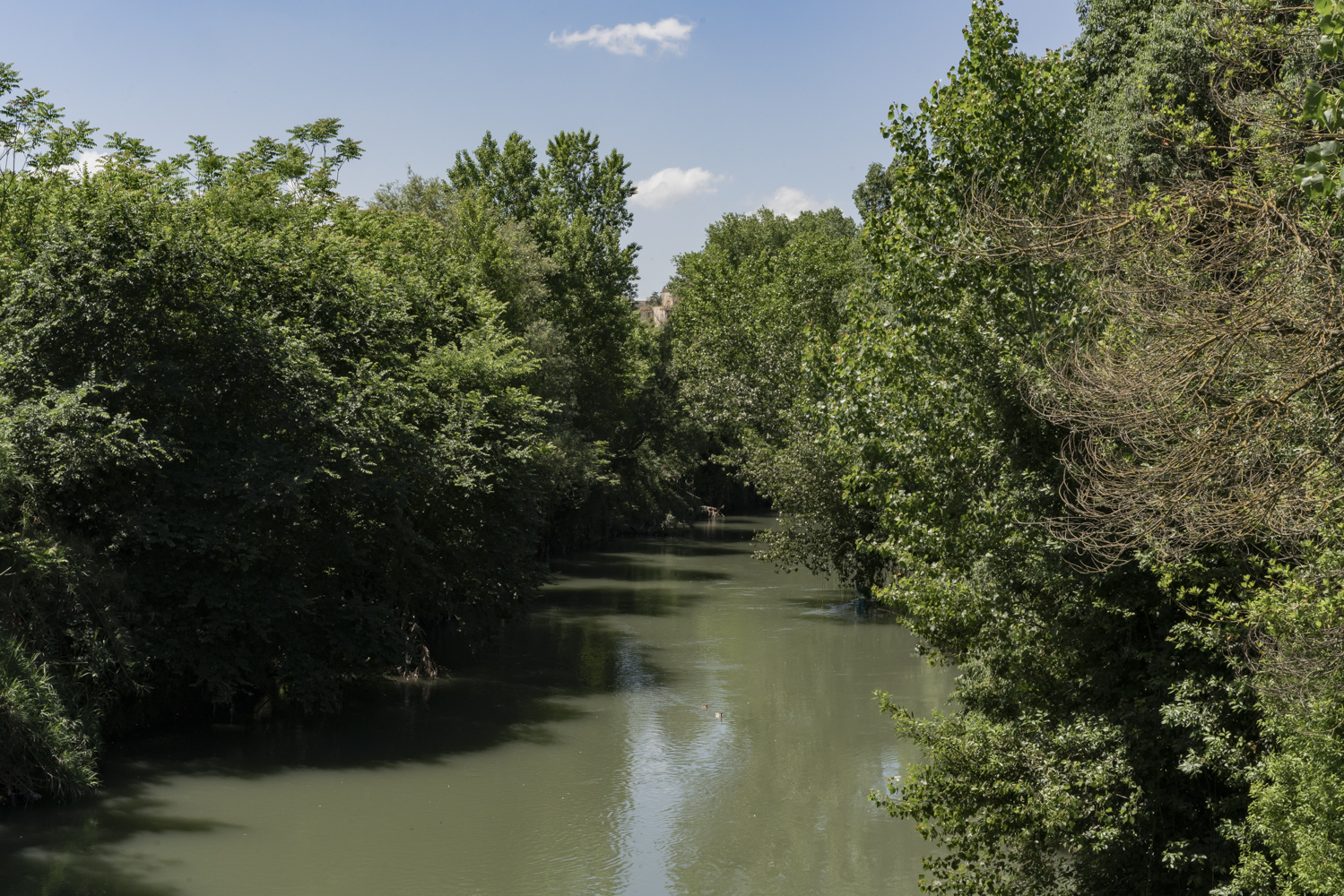 
Open River - performance fotografica partecipata di cianotipia