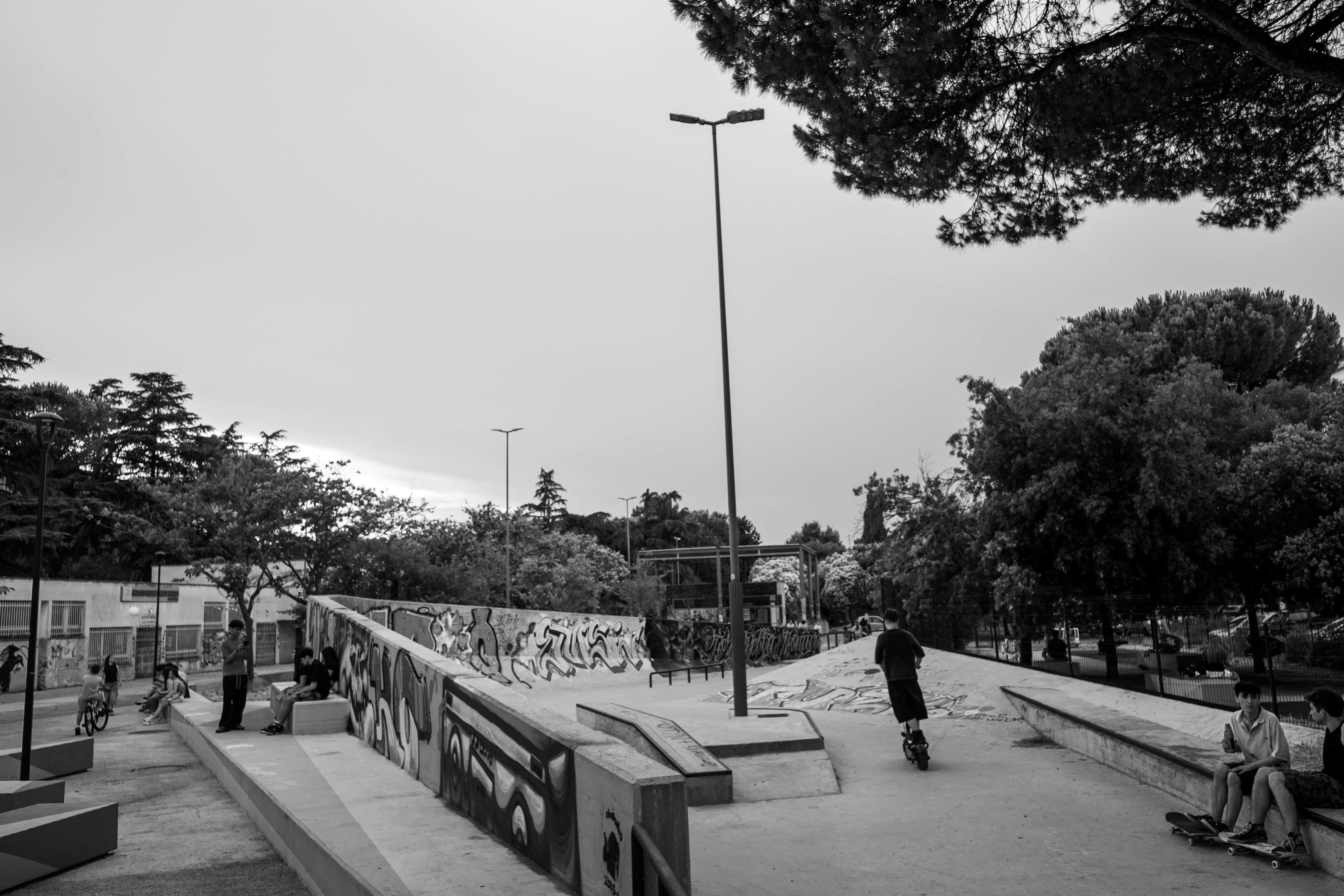 
Passeggiata fotografica, tra verde e cemento, a Tor Bella Monaca