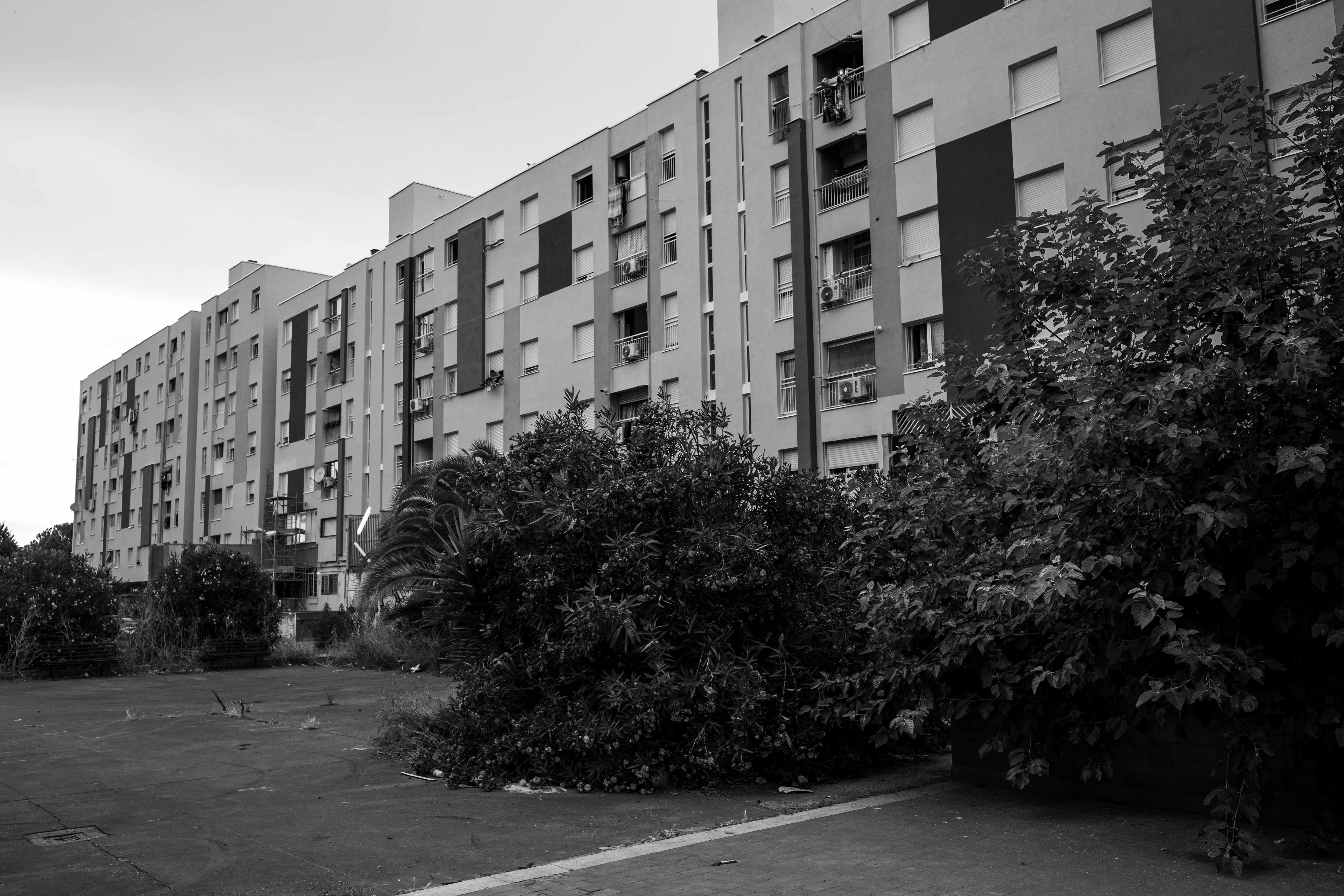 
Passeggiata fotografica, tra verde e cemento, a Tor Bella Monaca