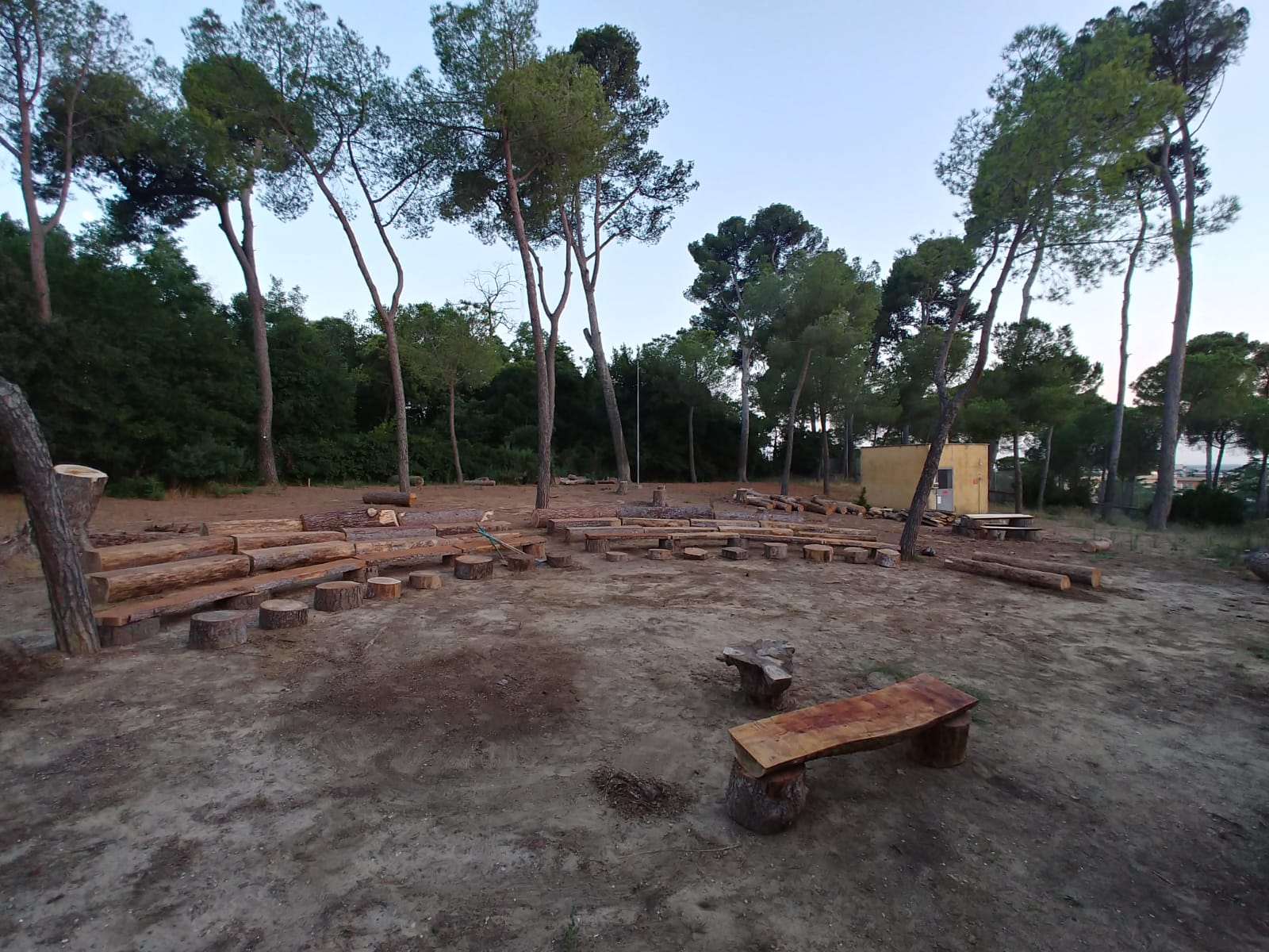 
LEGNO DEGLI ALBERI DI ROMA: LABORATORIO DI MANIPOLAZIONE CREATIVA