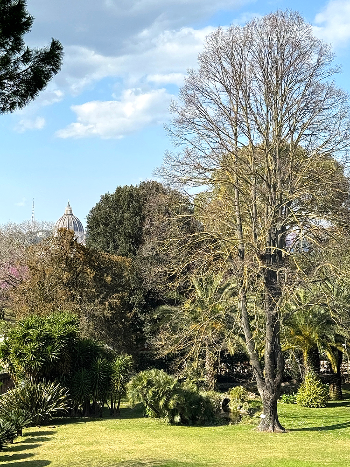 
Villa Il Vascello sede del Grande Oriente D'Italia