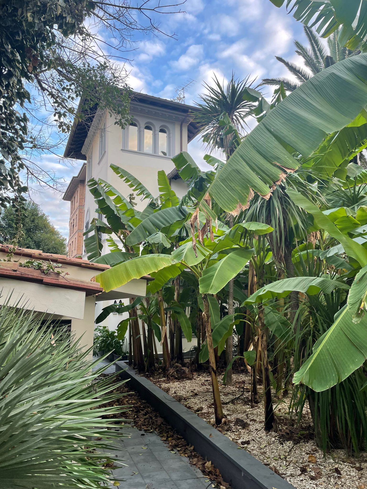 
Lines between Leaves - un gesto condiviso tra natura e architettura