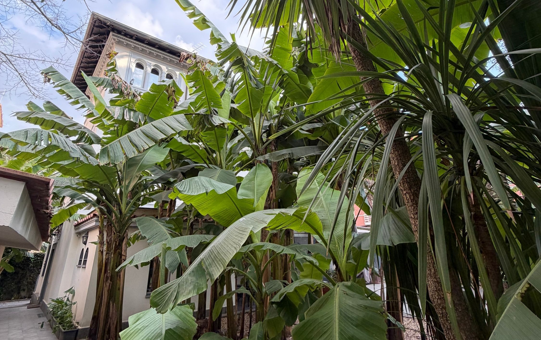 
Lines between Leaves - un gesto condiviso tra natura e architettura