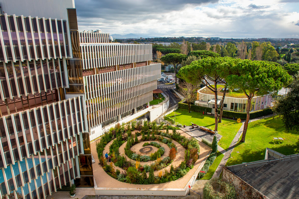 
World Food Programme (WFP)