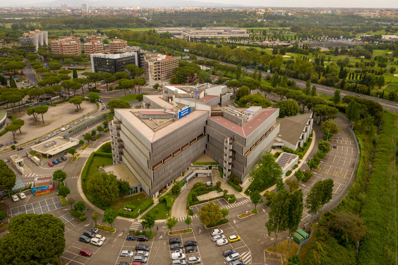 
World Food Programme (WFP)