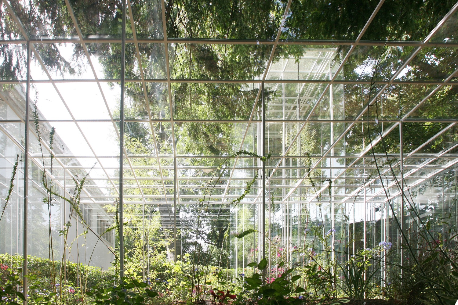 
Fragilità a Sinestetica