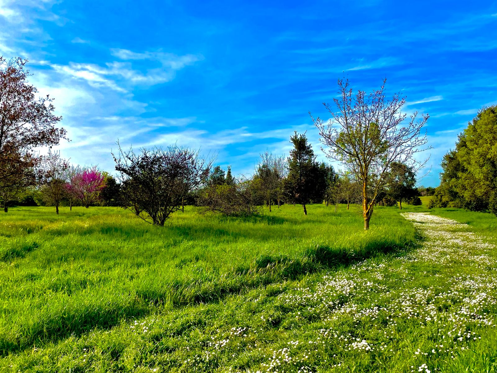 
ORTO BOTANICO UNIVERSITÀ DI ROMA TOR VERGATA