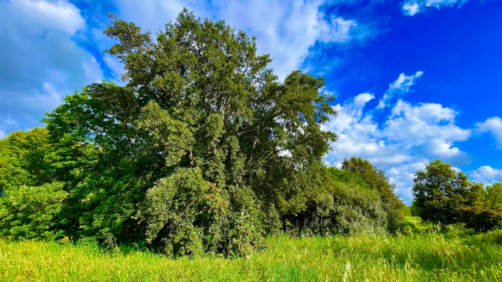 
ORTO BOTANICO UNIVERSITÀ DI ROMA TOR VERGATA