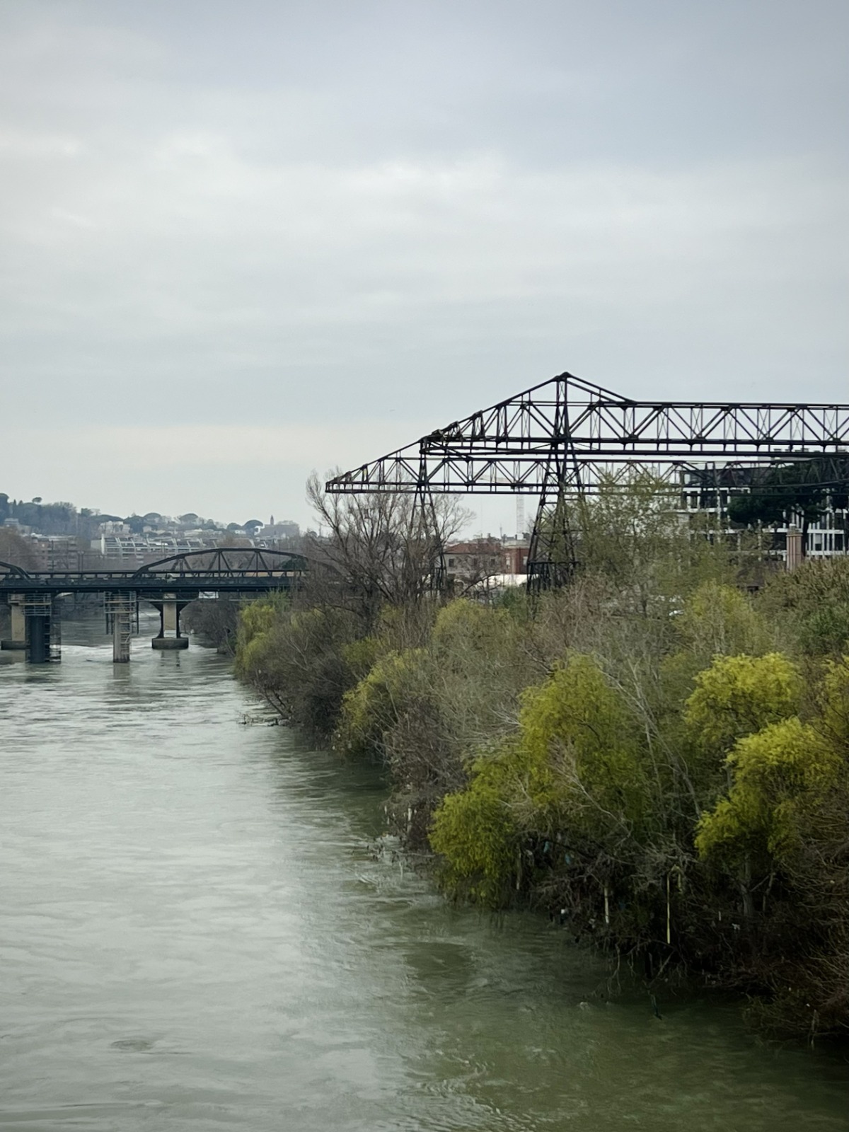 
Sottocorrenti urbane. Ostiense tra natura, energia, trasformazione