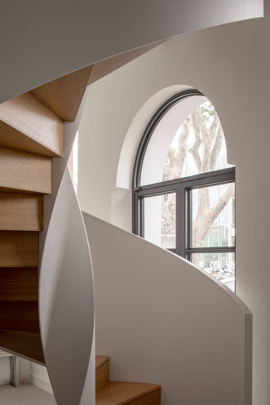 
Studio Donati - Monte dei Cocci