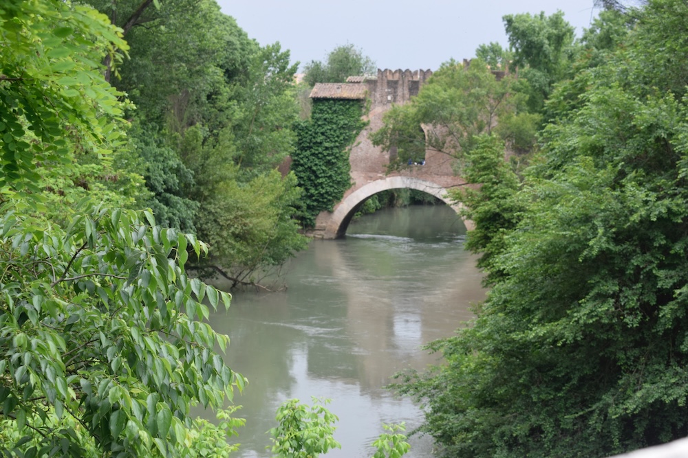 
SEGUENDO IL FIUME, itinerANIO: conosciamo il basso corso dell'aniene, ponte nomentano