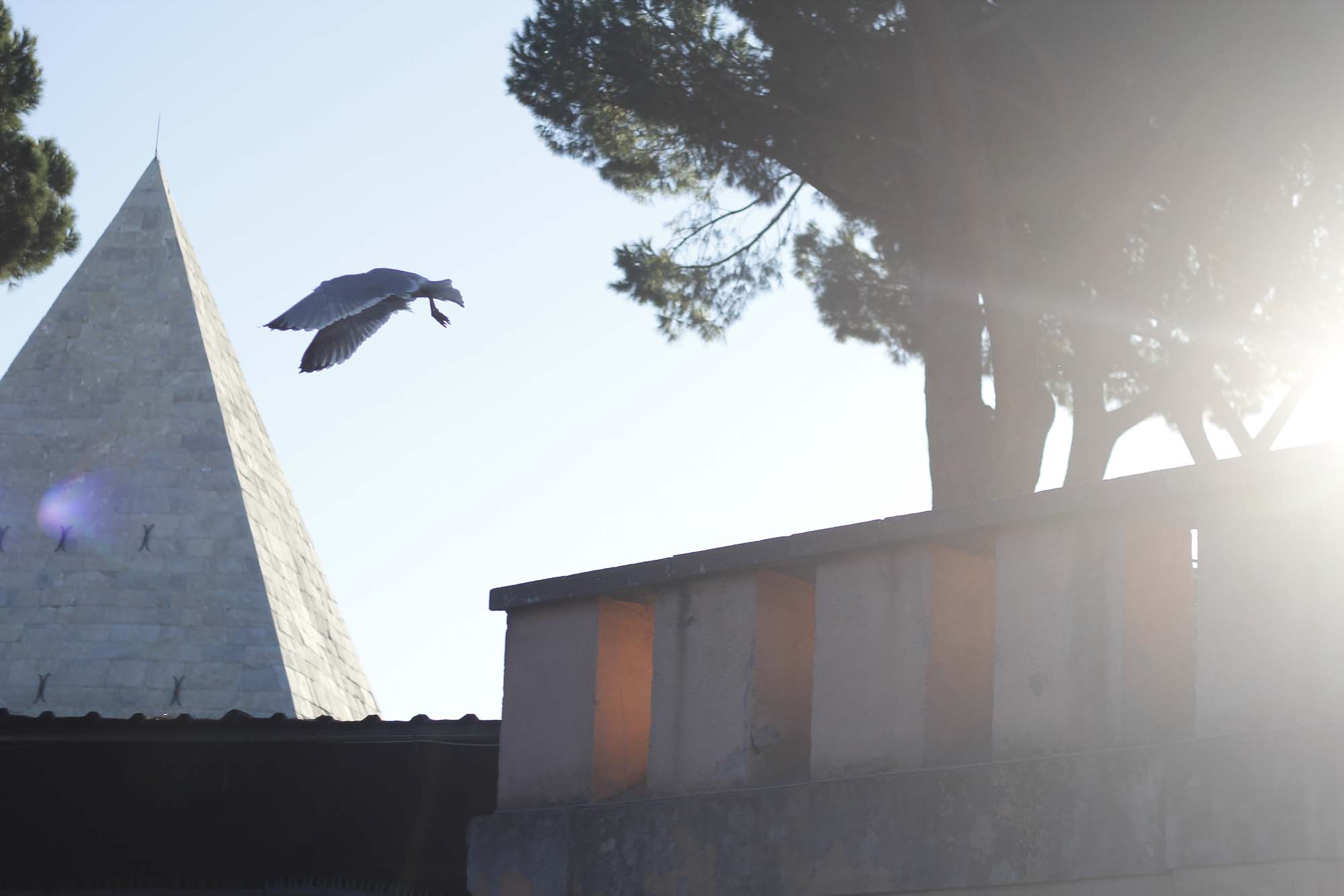 
Conosco una città - mostra fotografica collettiva